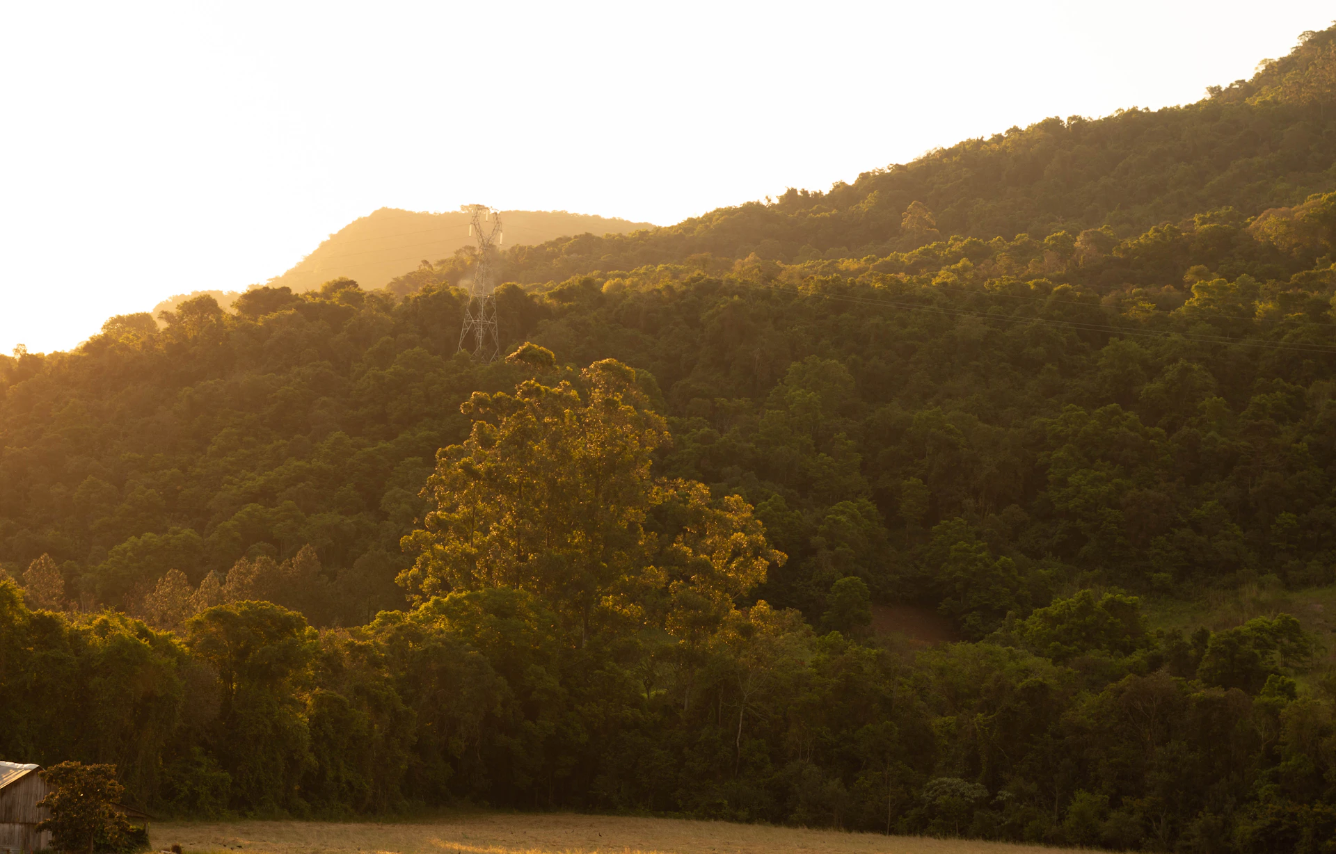 A serene view of the surrounding forest and hills near the school camp, bathed in warm afternoon light.