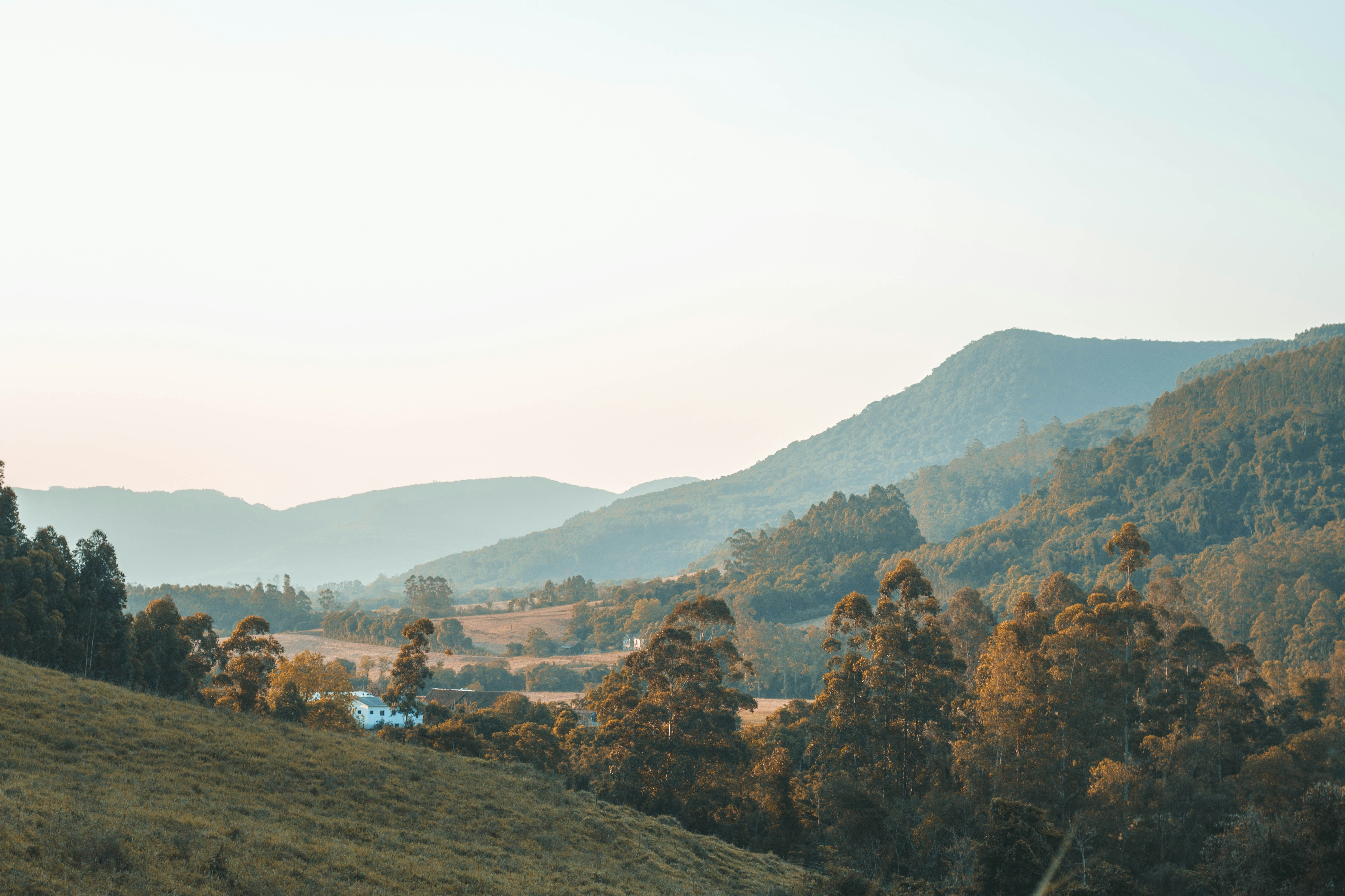 Photo by lucasgwendt