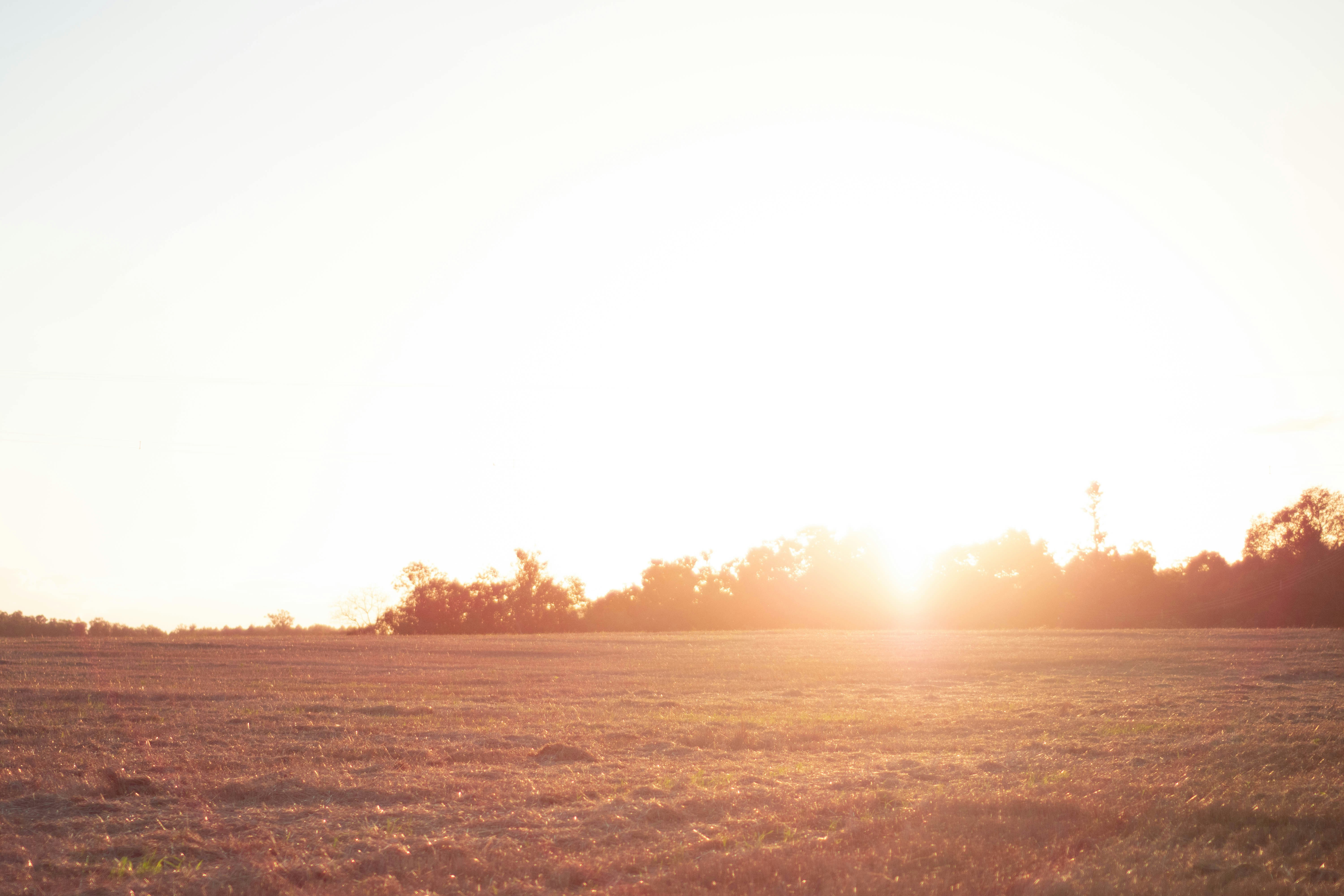 Photo by lucasgwendt