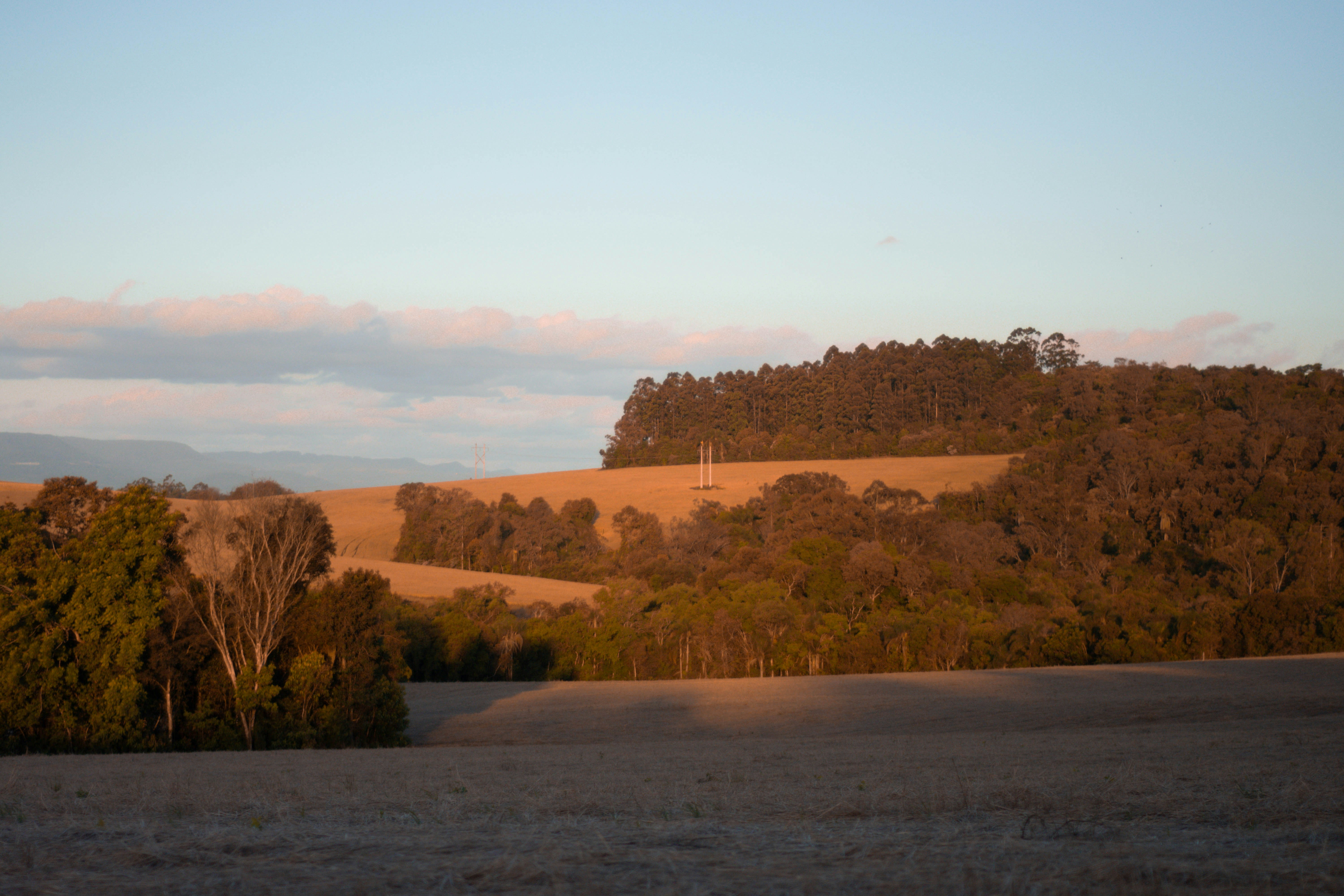 Photo by lucasgwendt