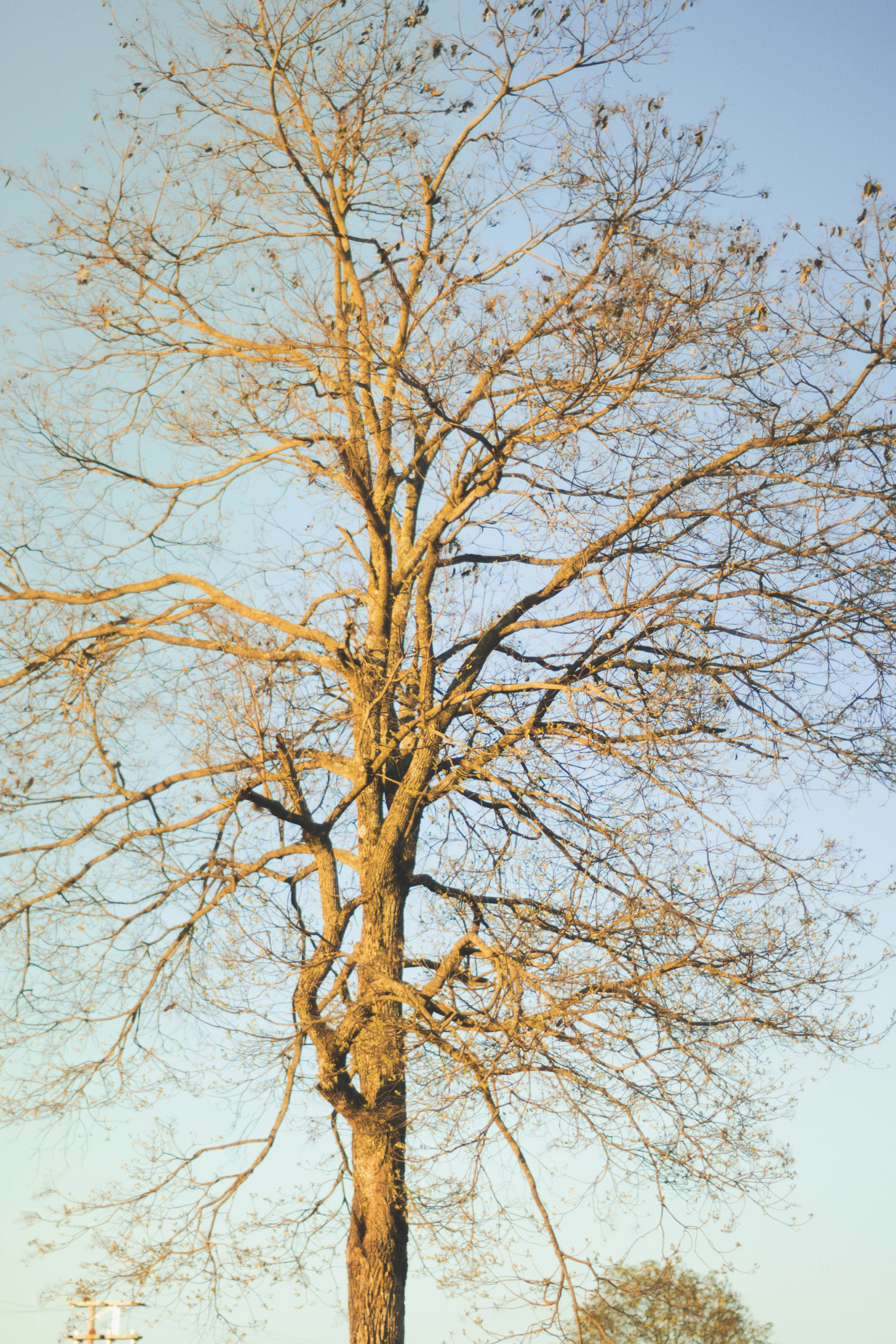 Photo by lucasgwendt