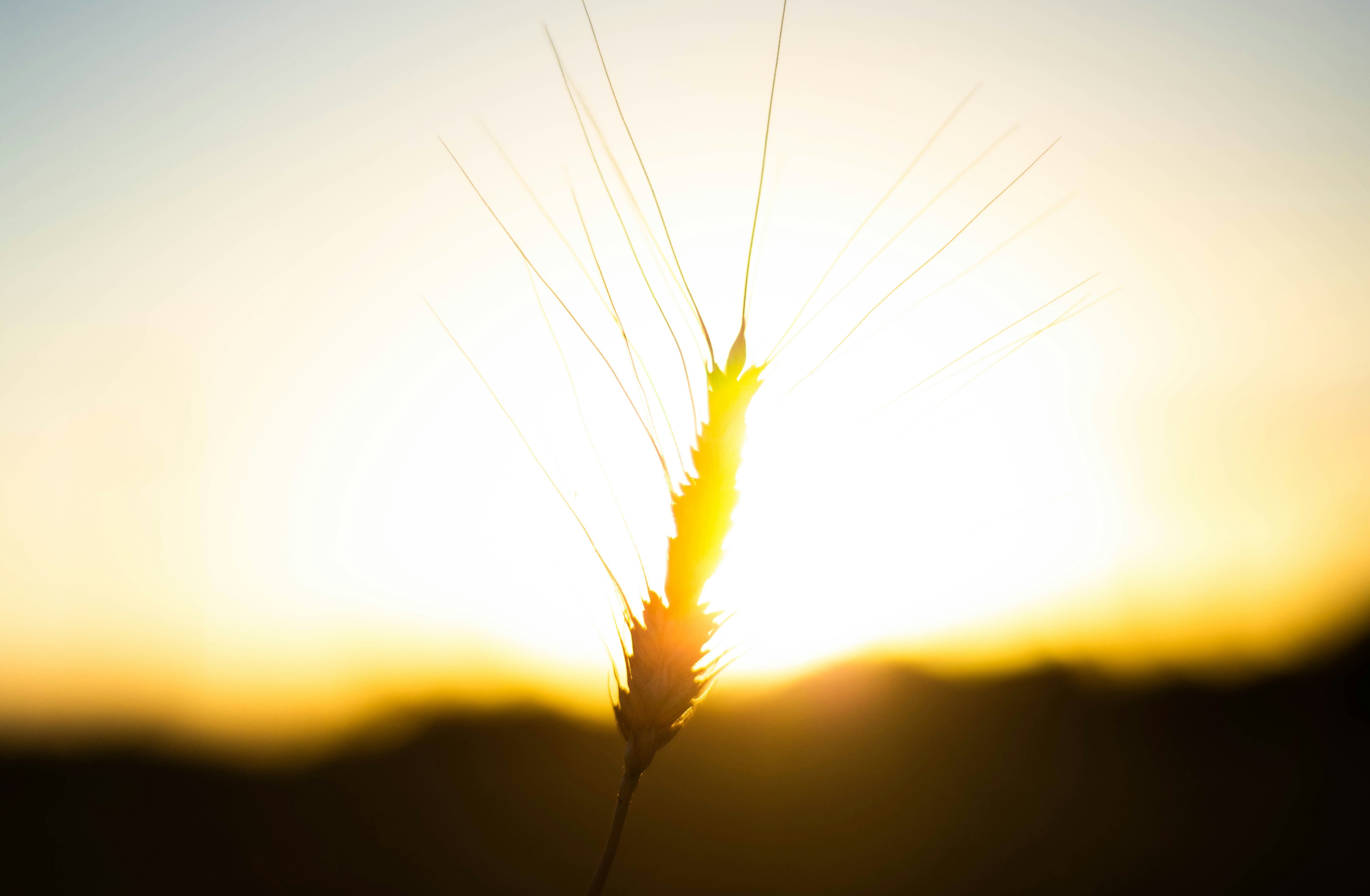 Photo by lucasgwendt