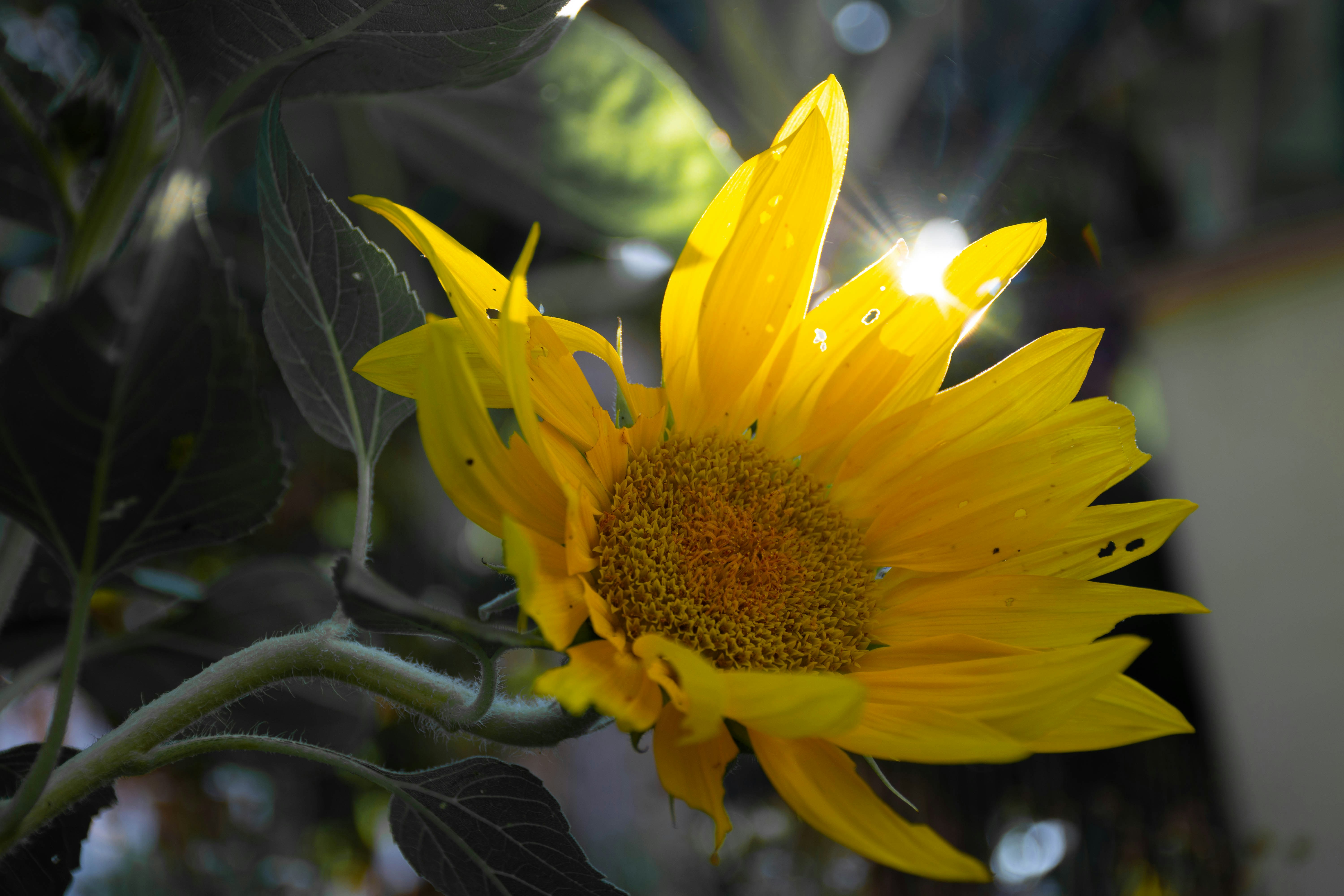 Photo by lucasgwendt