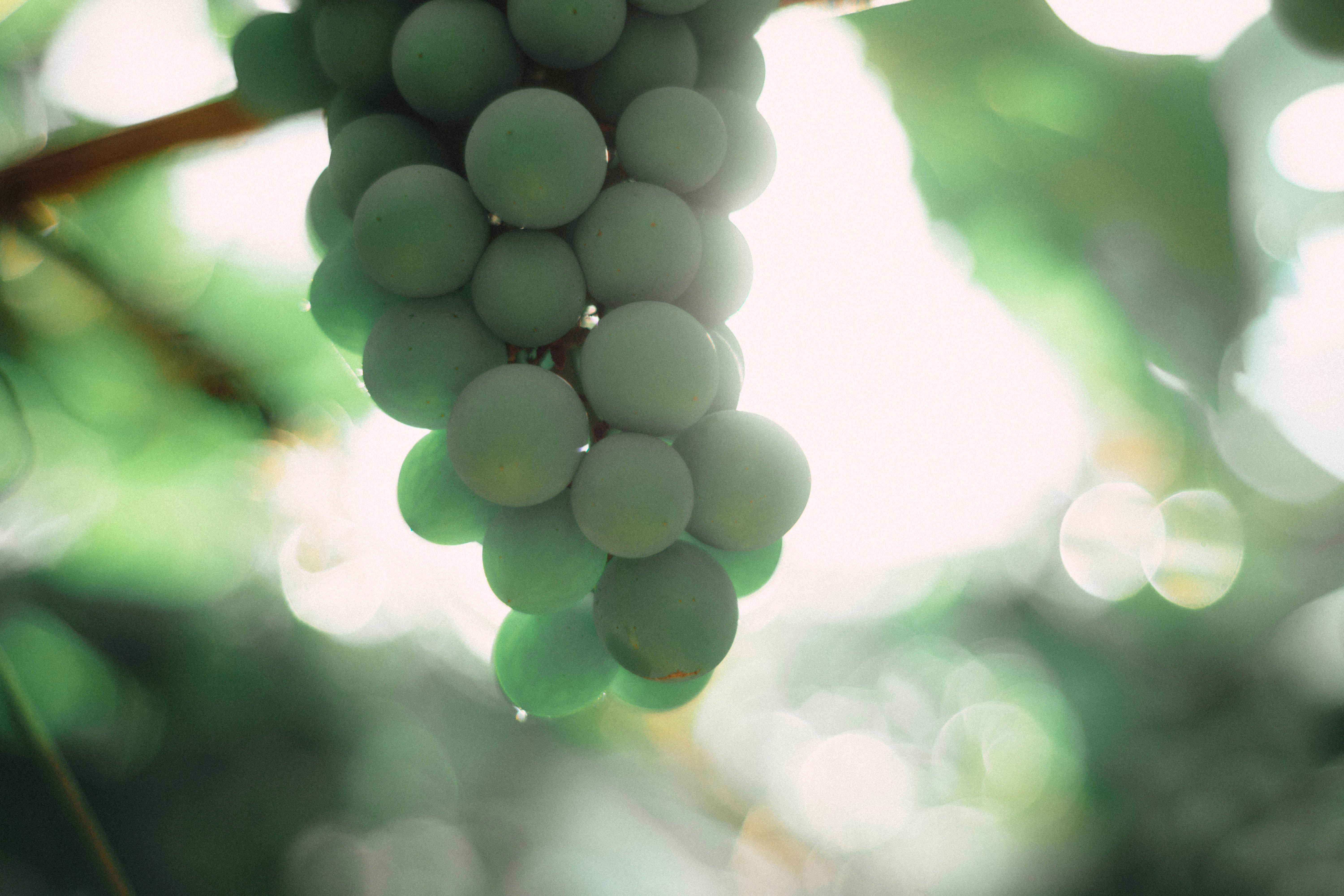 Photo by lucasgwendt