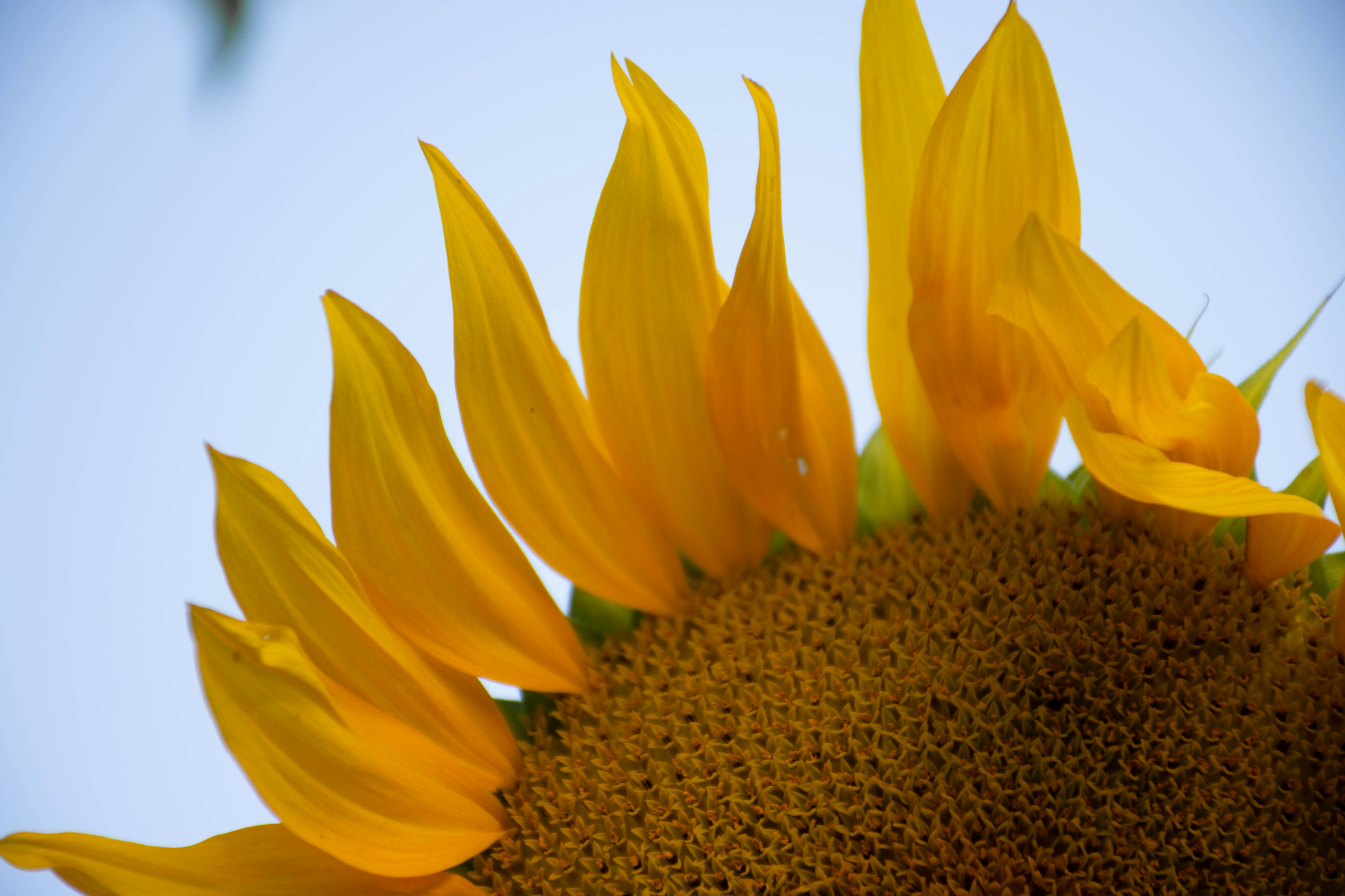 Photo by lucasgwendt