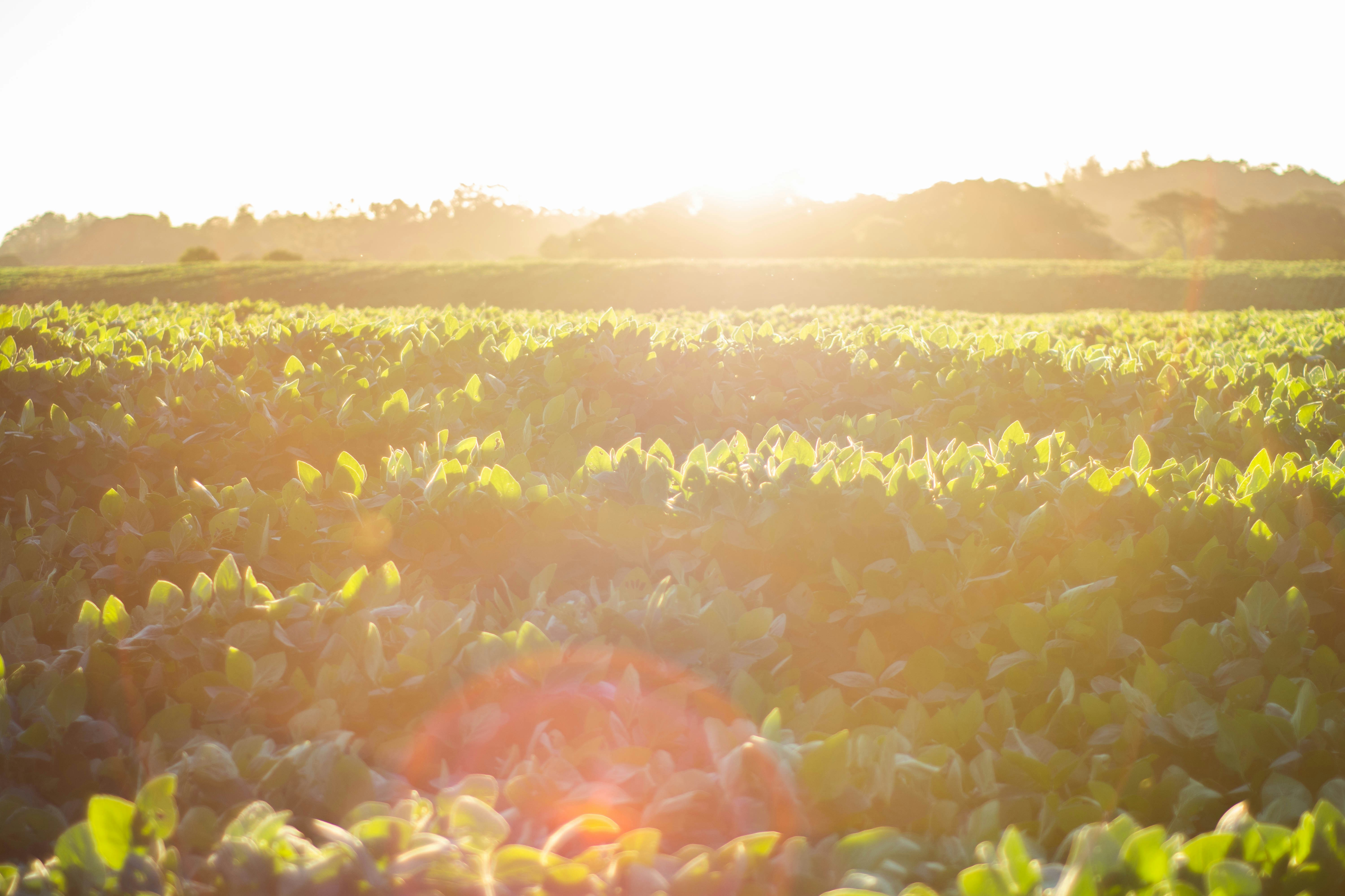 Photo by lucasgwendt