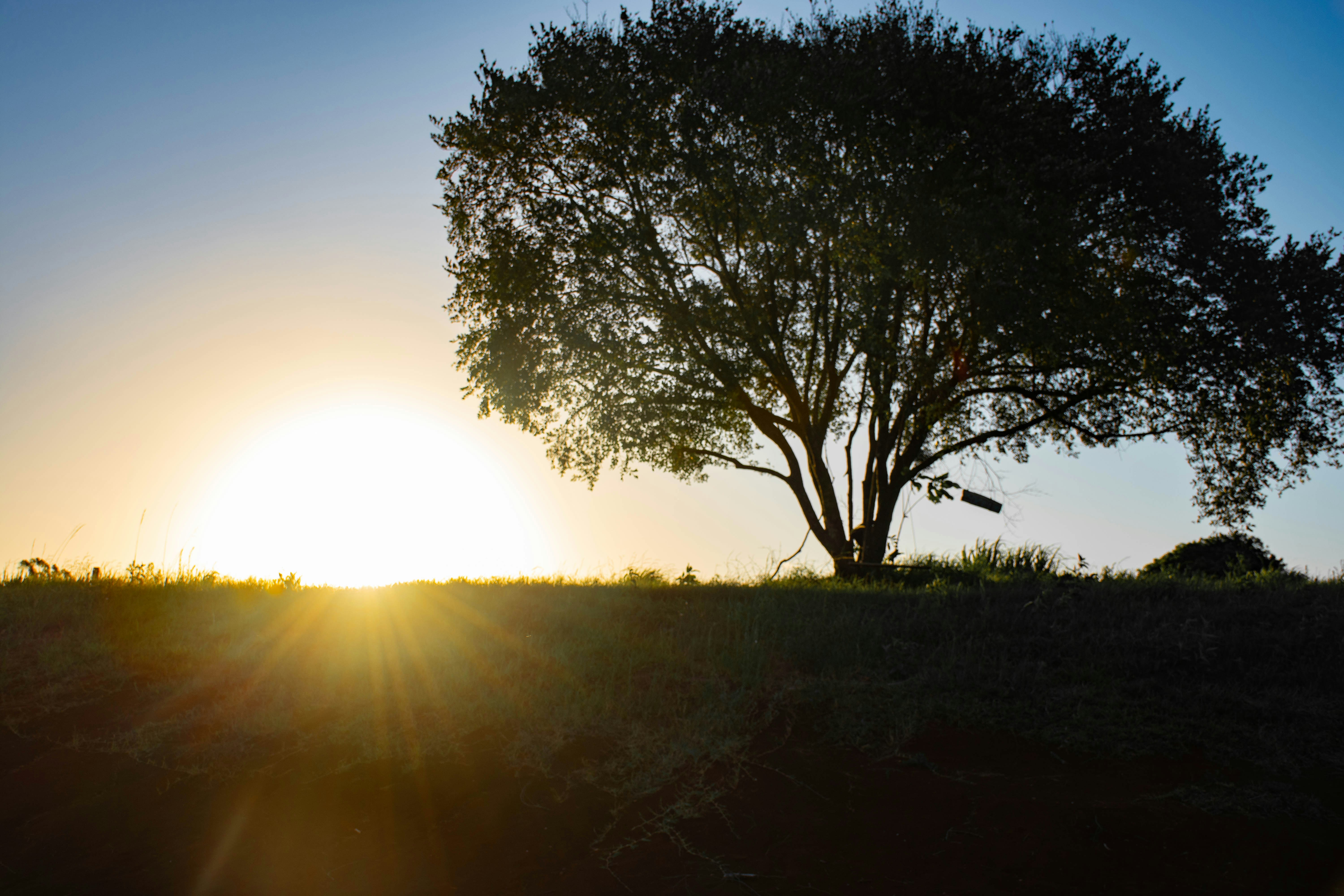 Photo by lucasgwendt