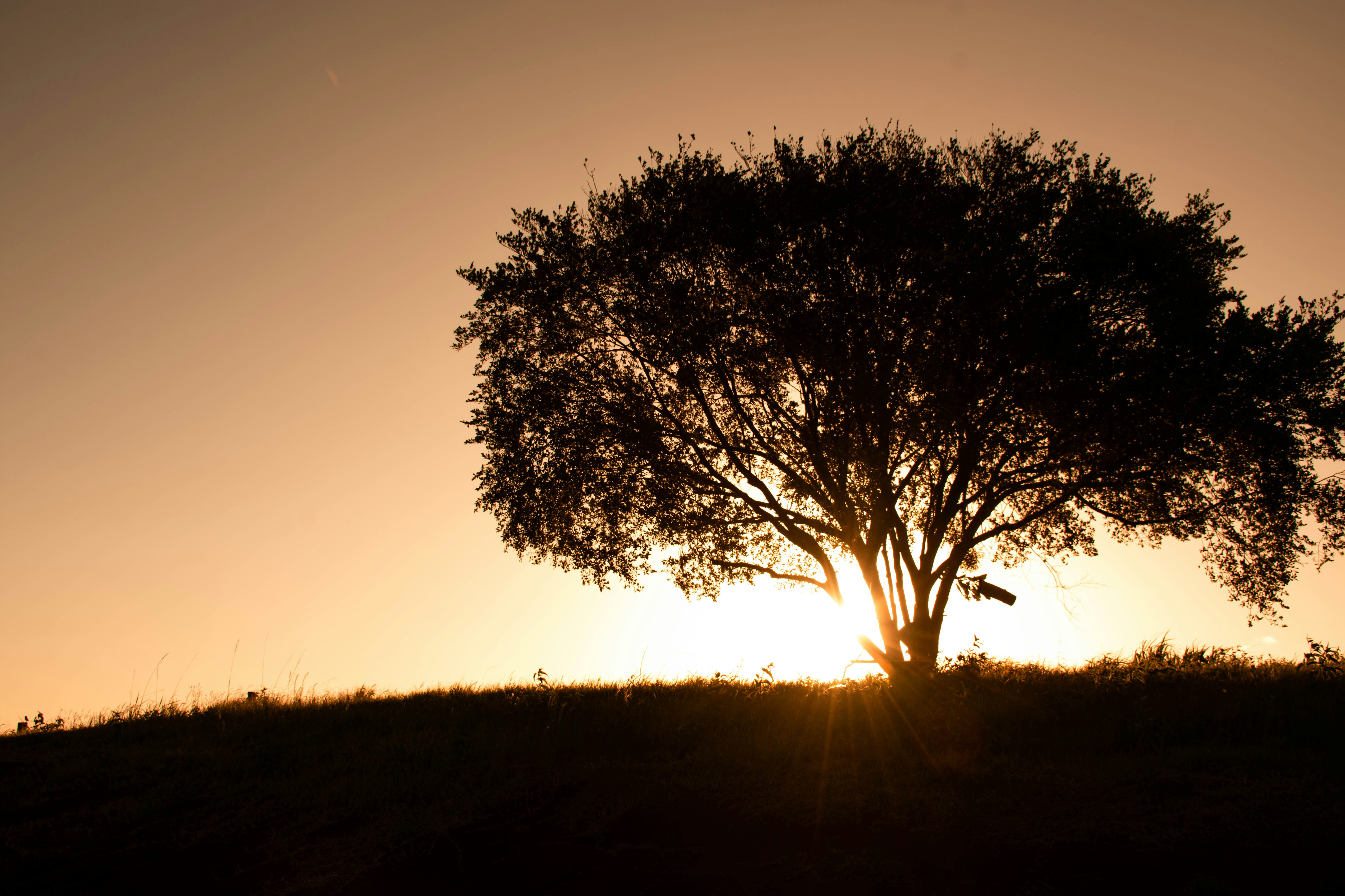 Photo by lucasgwendt