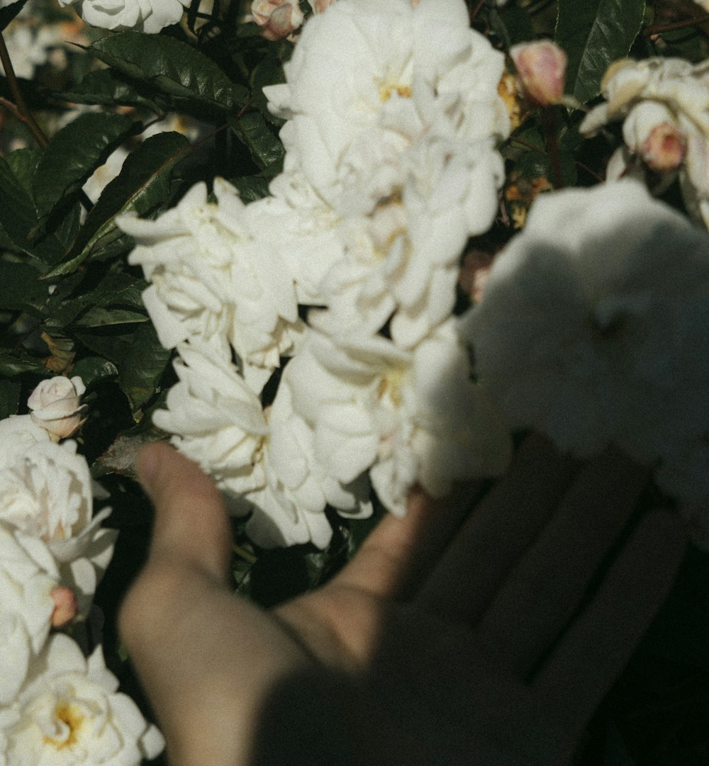 person holding white flower bouquet