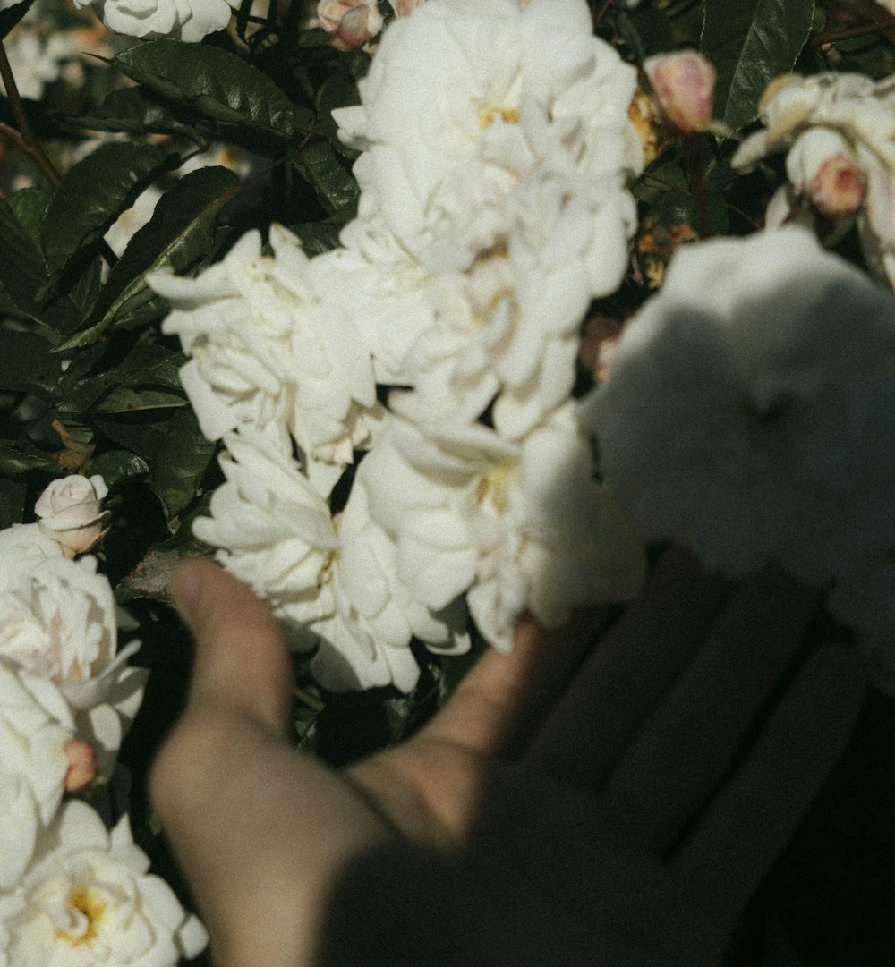 흰 꽃다발을 들고 있는 사람