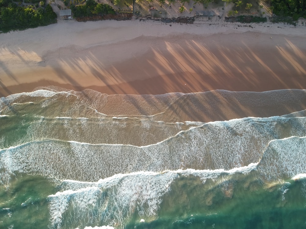 aerial view of green and brown field