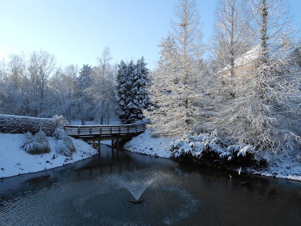 brown wooden dock on river between snow covered trees during daytime