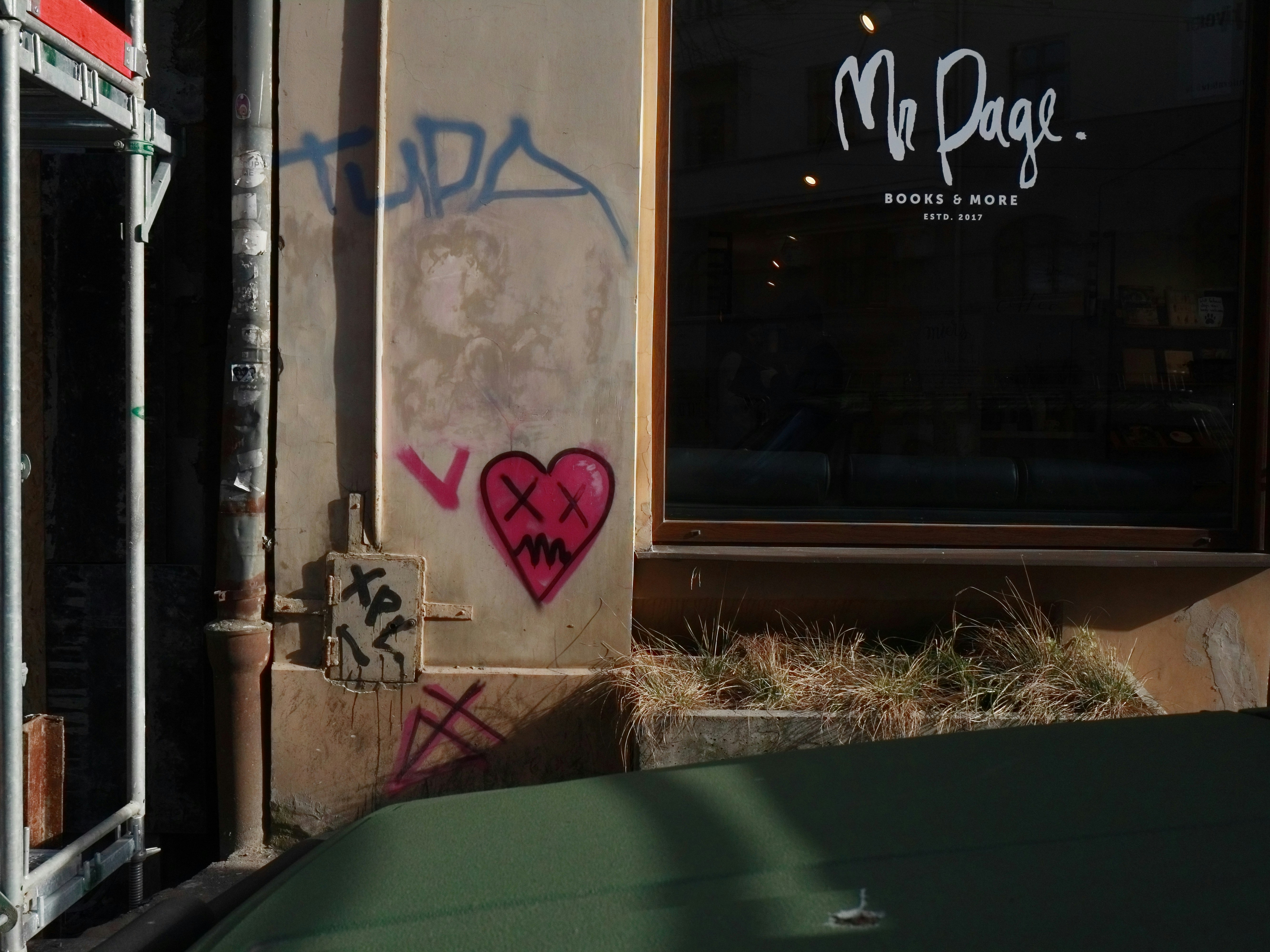 Photo by ignatkushanrev