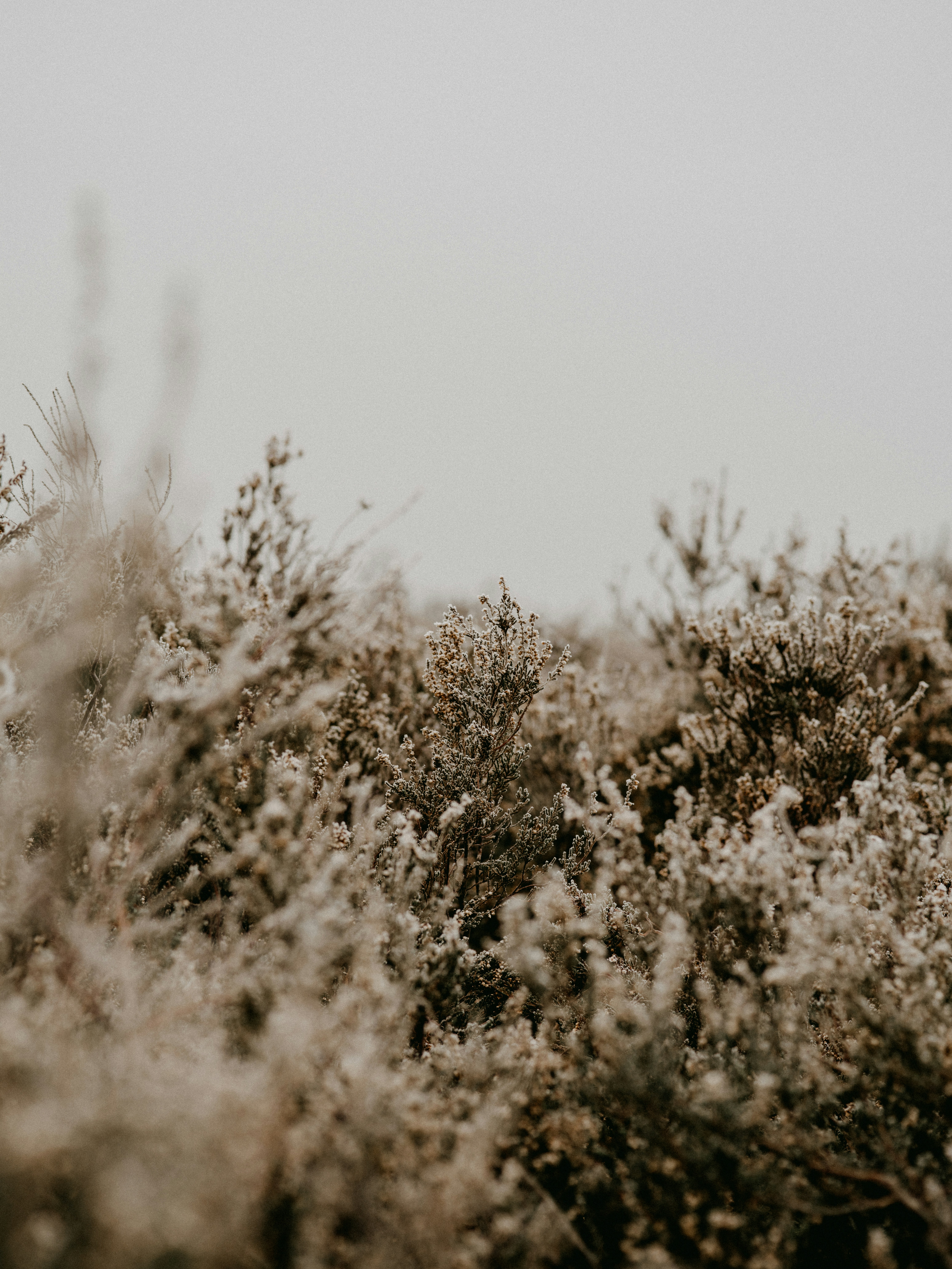 Photo by anniespratt