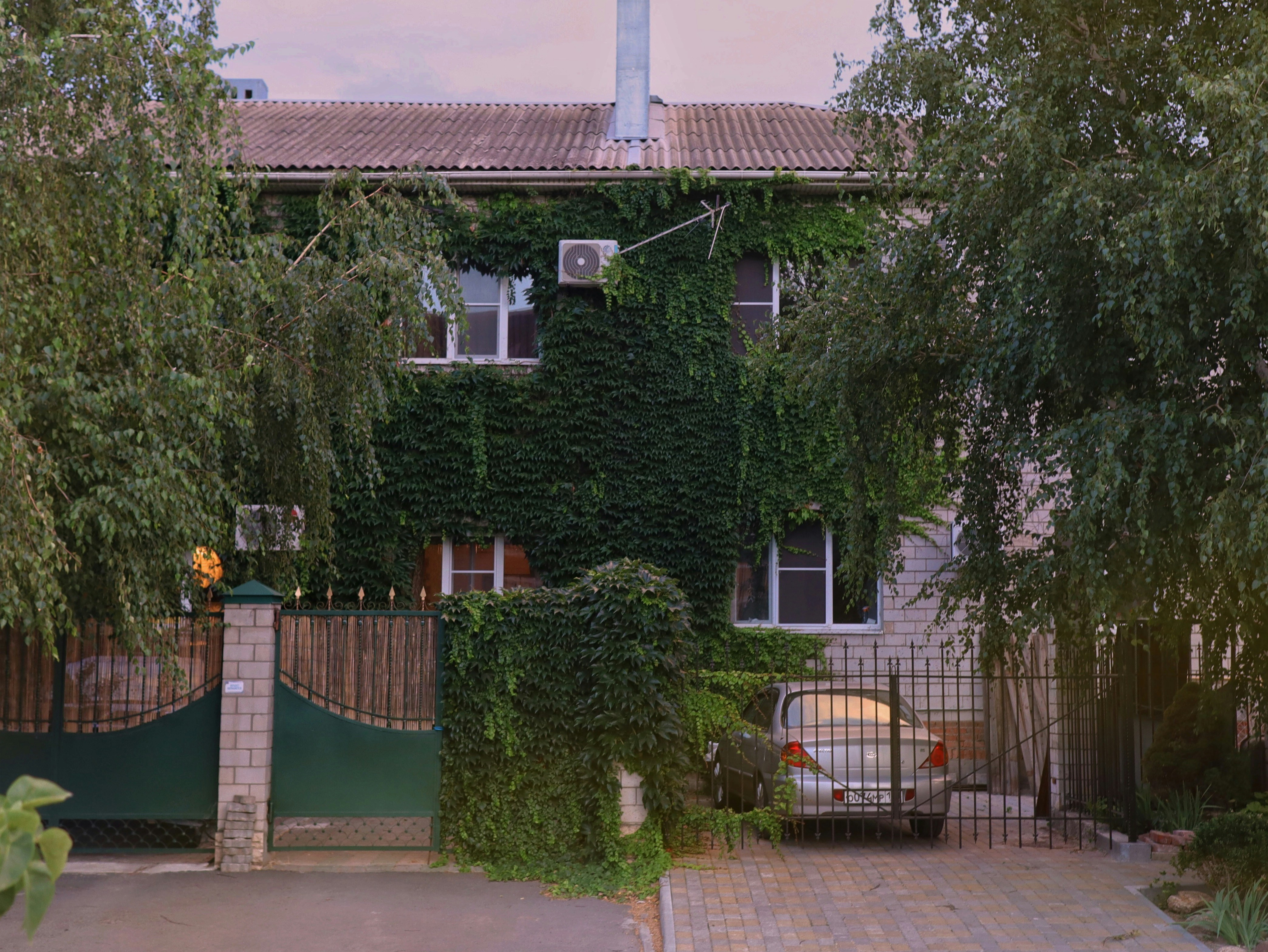 Photo by ignatkushanrev