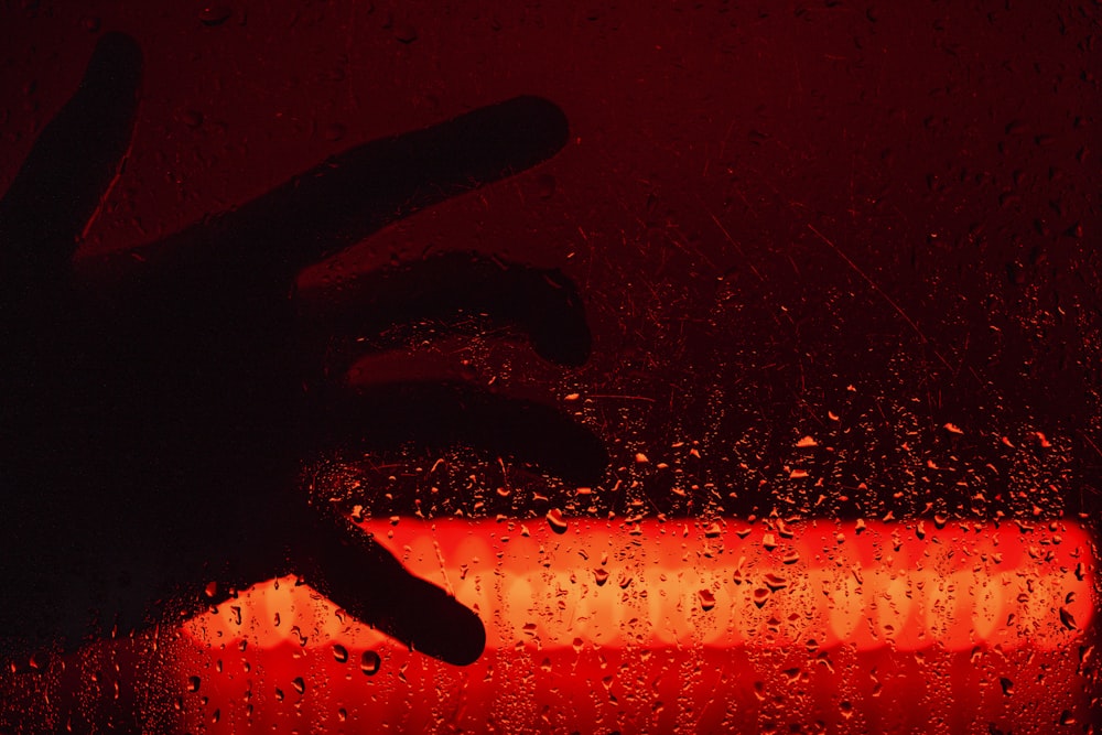 persons hand with red light