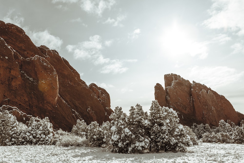 brown rock formation near green trees during daytime