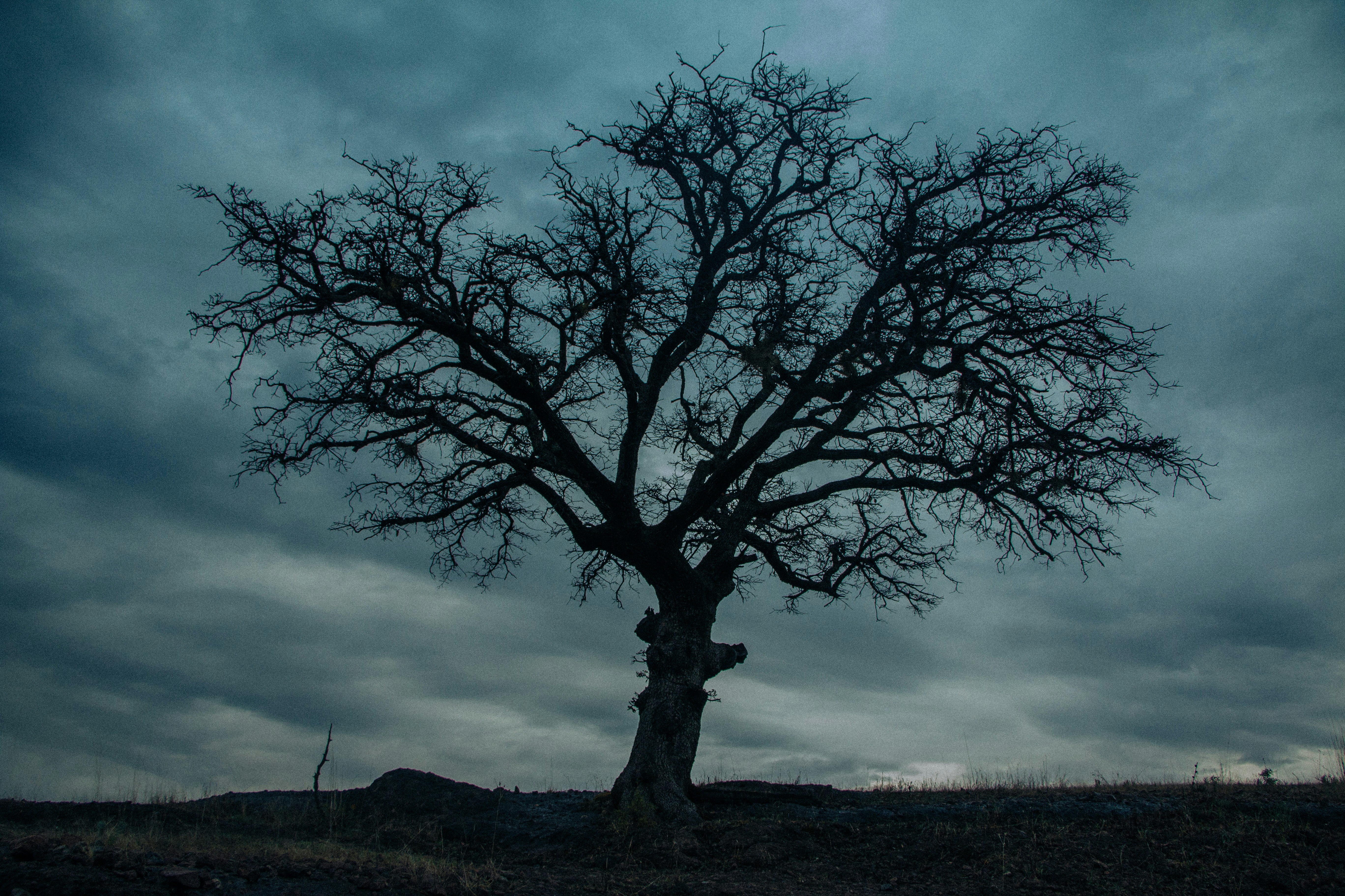 Photo by adolfofelix