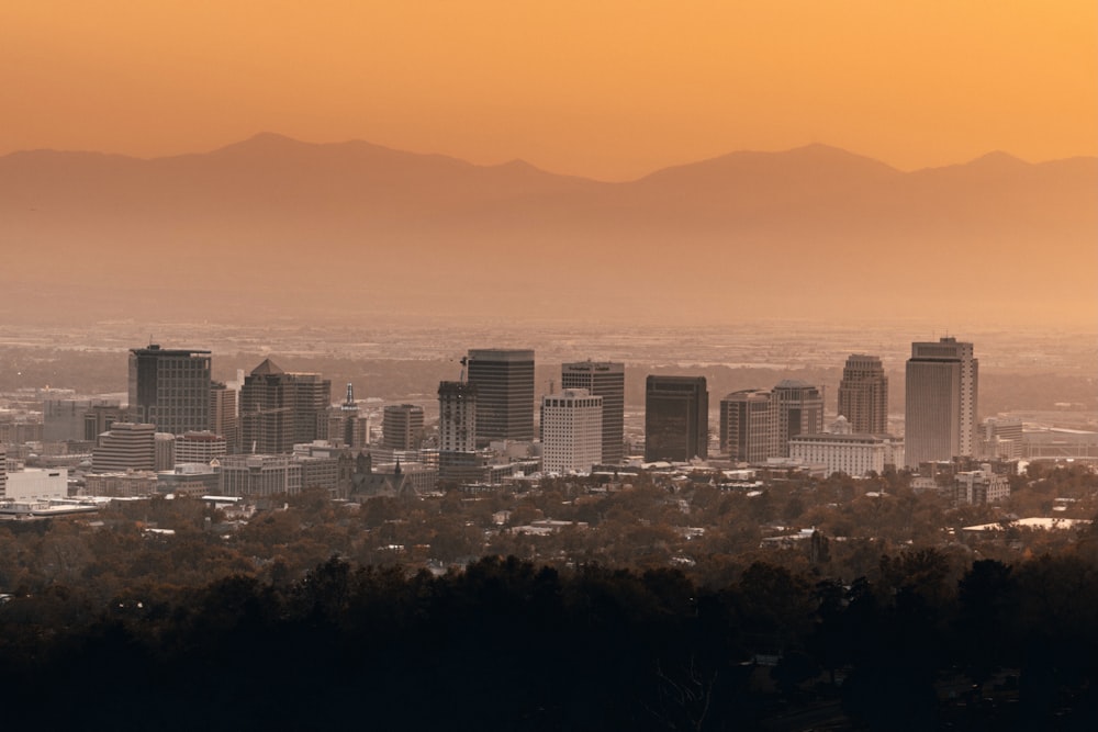 city skyline under blue sky during daytime