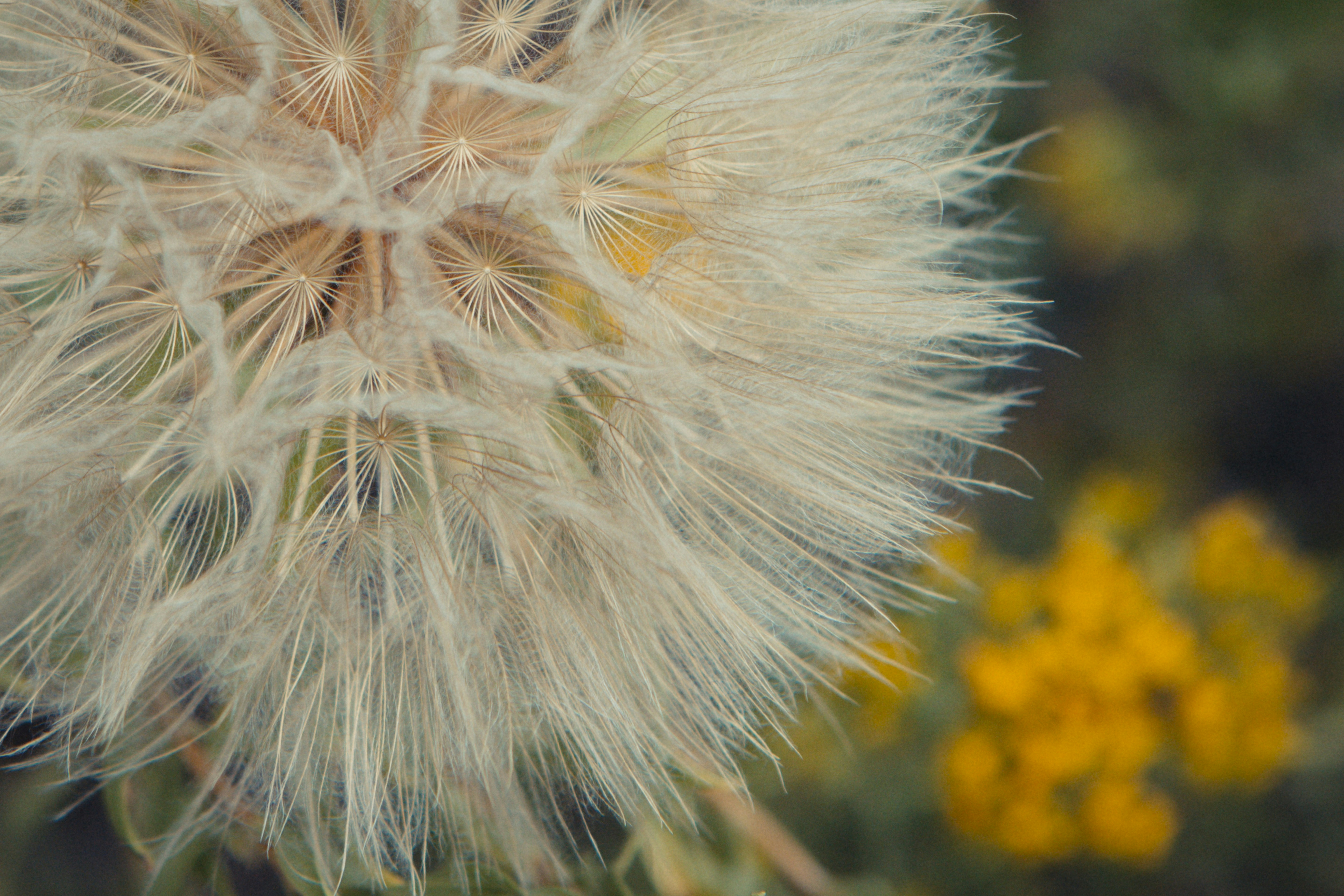 Photo by joetography