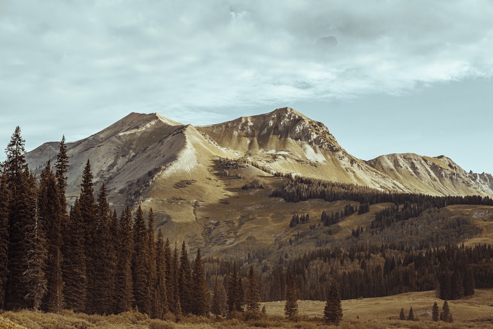 green trees near mountain under white clouds during daytime