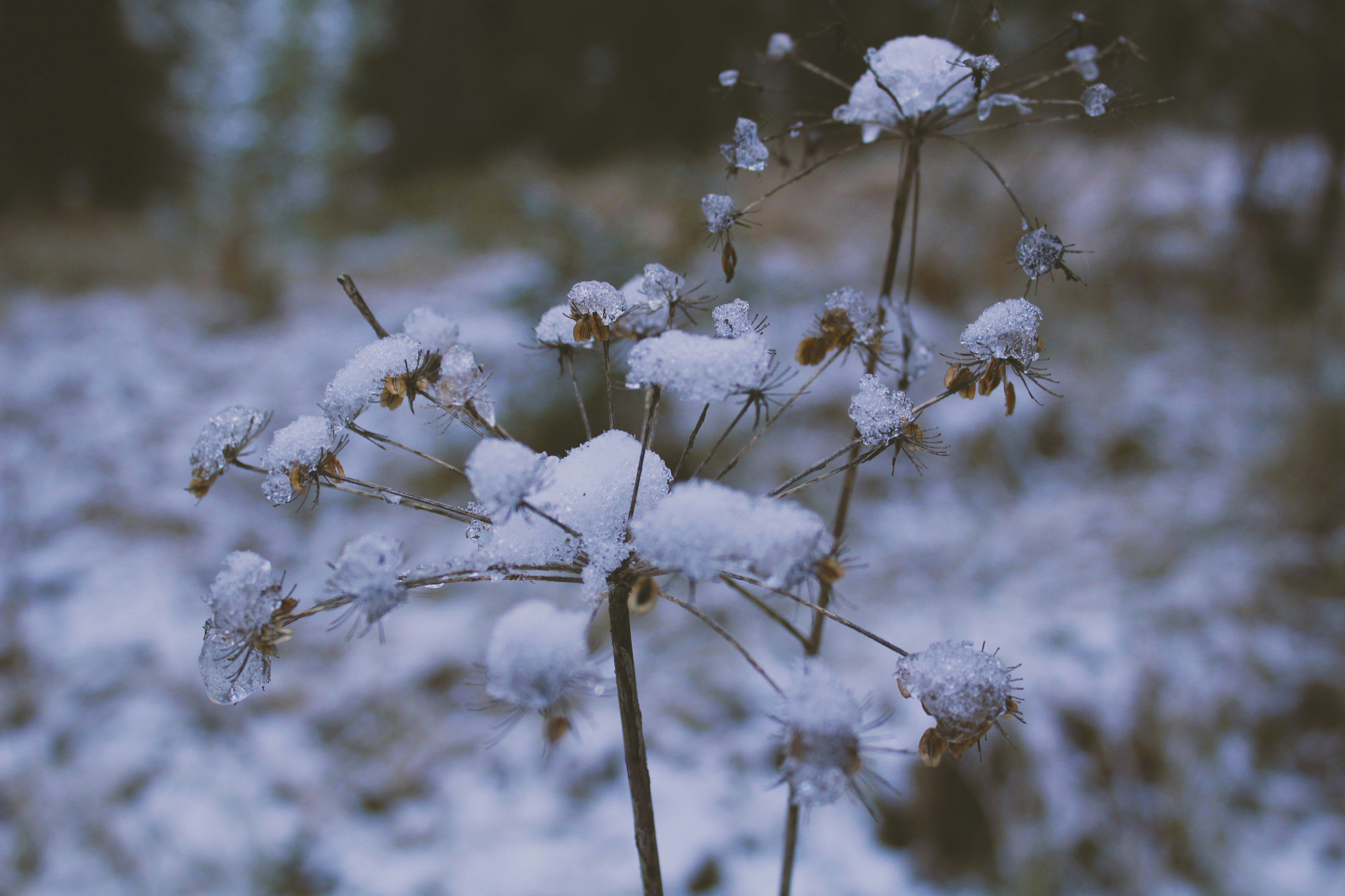 Photo by white_on_white