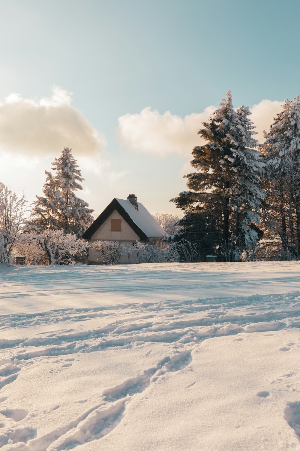 Casa di legno marrone in mezzo al campo coperto di neve