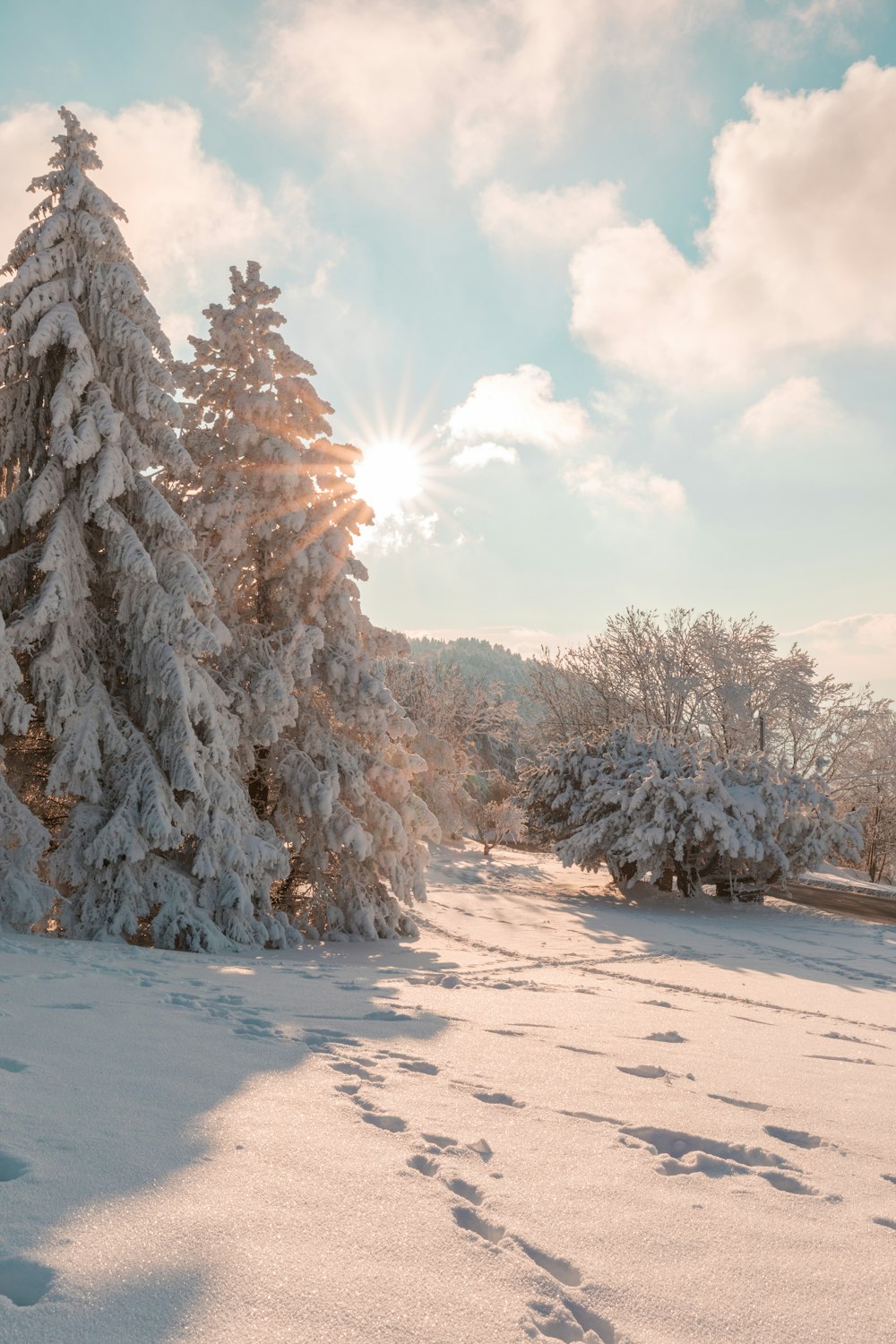 Winter Landscape Pictures Stunning, Winter Landscapes Images