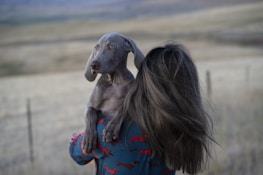 A person with long hair, wearing a blue shirt adorned with red dachshund patterns, is holding a gray Weimaraner puppy outdoors. The background features an expansive, blurred landscape with muted green and brown tones, suggesting a rural or countryside setting.