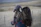 A person with long hair, wearing a blue shirt adorned with red dachshund patterns, is holding a gray Weimaraner puppy outdoors. The background features an expansive, blurred landscape with muted green and brown tones, suggesting a rural or countryside setting.