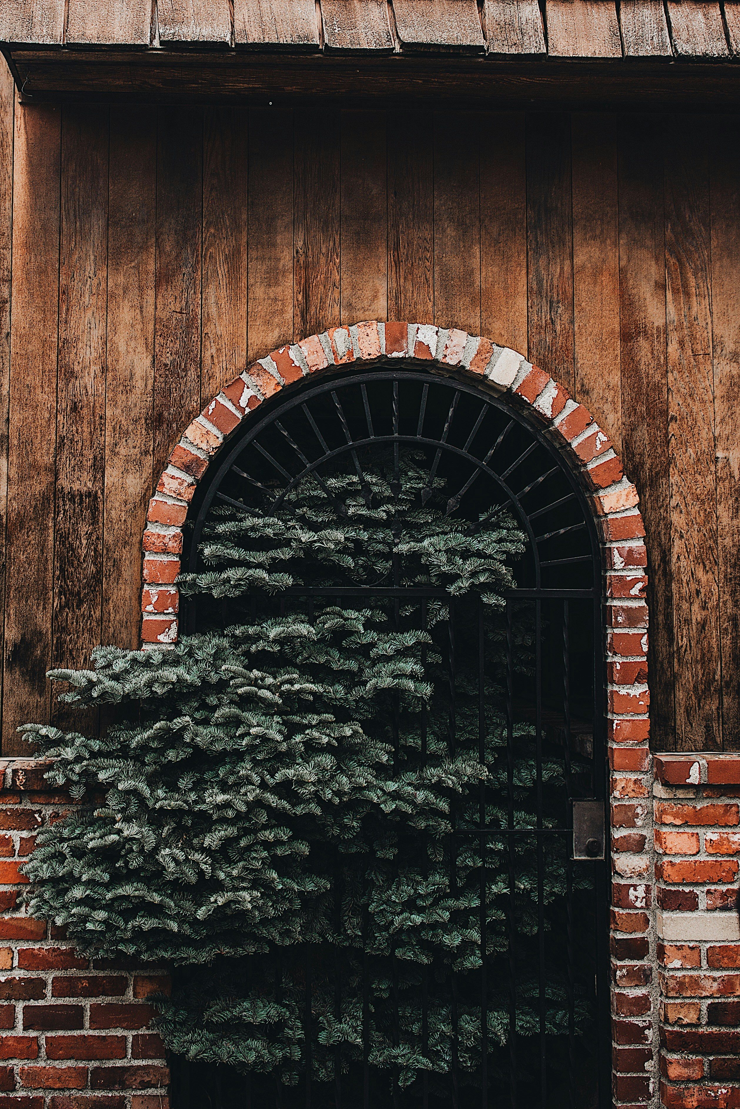 Photo by diofagundes