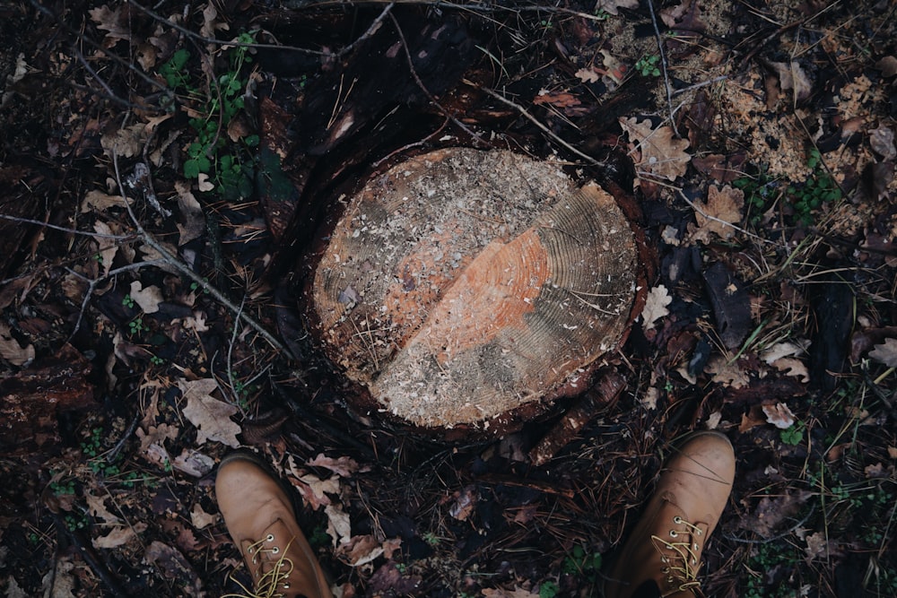 person in brown leather boots standing on brown dried leaves