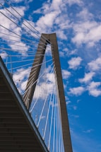 An engineer reviewing blueprints of a massive cable-stayed bridge at a construction site.