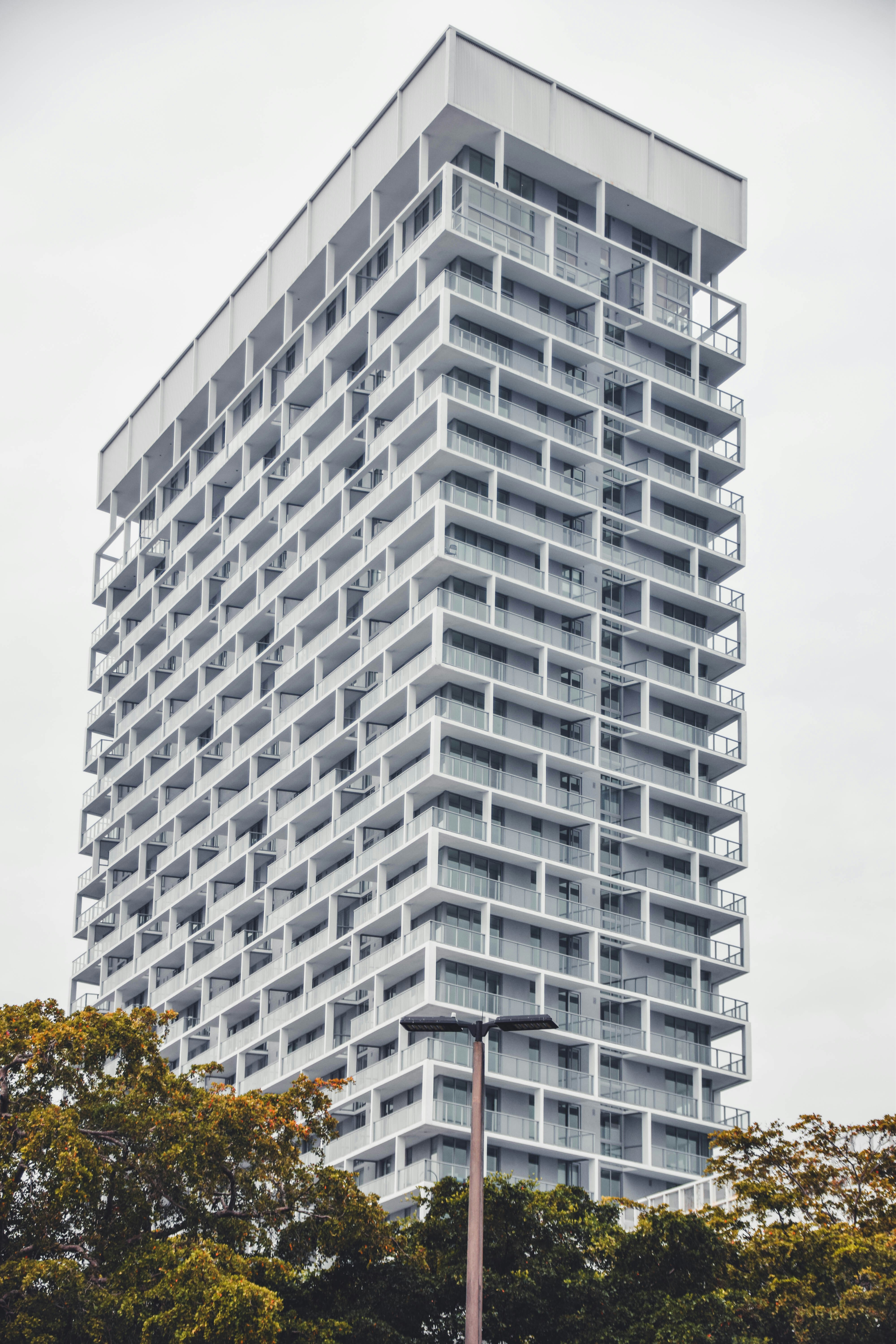 Photo by longlivehaas