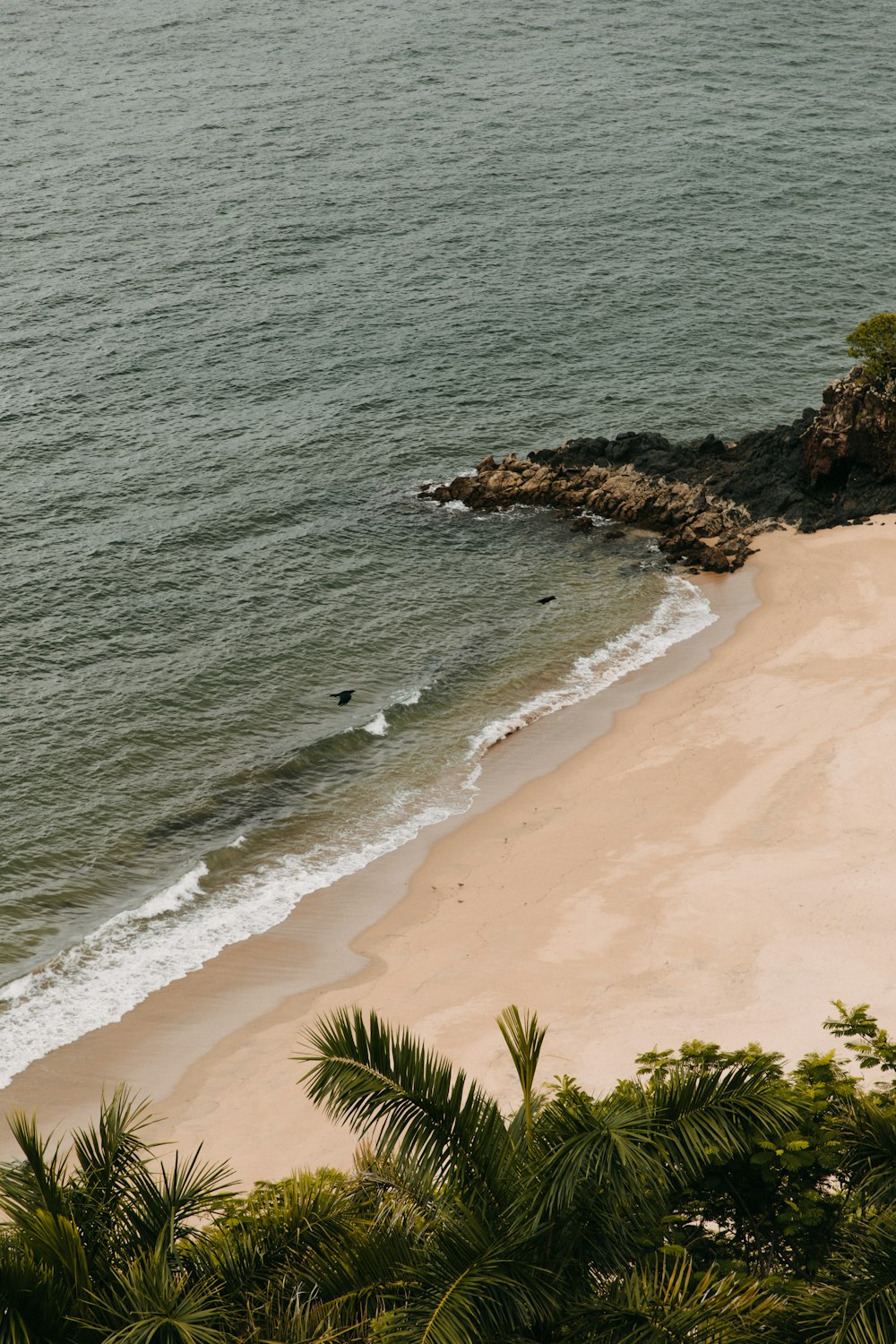 aerial view of beach during daytime