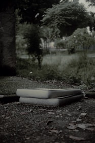 A pair of mattresses are stacked on the ground outdoors, surrounded by overgrown grass and foliage, creating a slightly neglected or abandoned atmosphere.