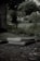 A pair of mattresses are stacked on the ground outdoors, surrounded by overgrown grass and foliage, creating a slightly neglected or abandoned atmosphere.
