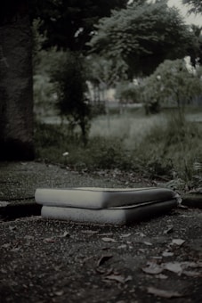 A pair of mattresses are stacked on the ground outdoors, surrounded by overgrown grass and foliage, creating a slightly neglected or abandoned atmosphere.