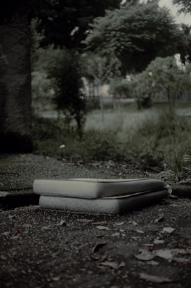 A pair of mattresses are stacked on the ground outdoors, surrounded by overgrown grass and foliage, creating a slightly neglected or abandoned atmosphere.