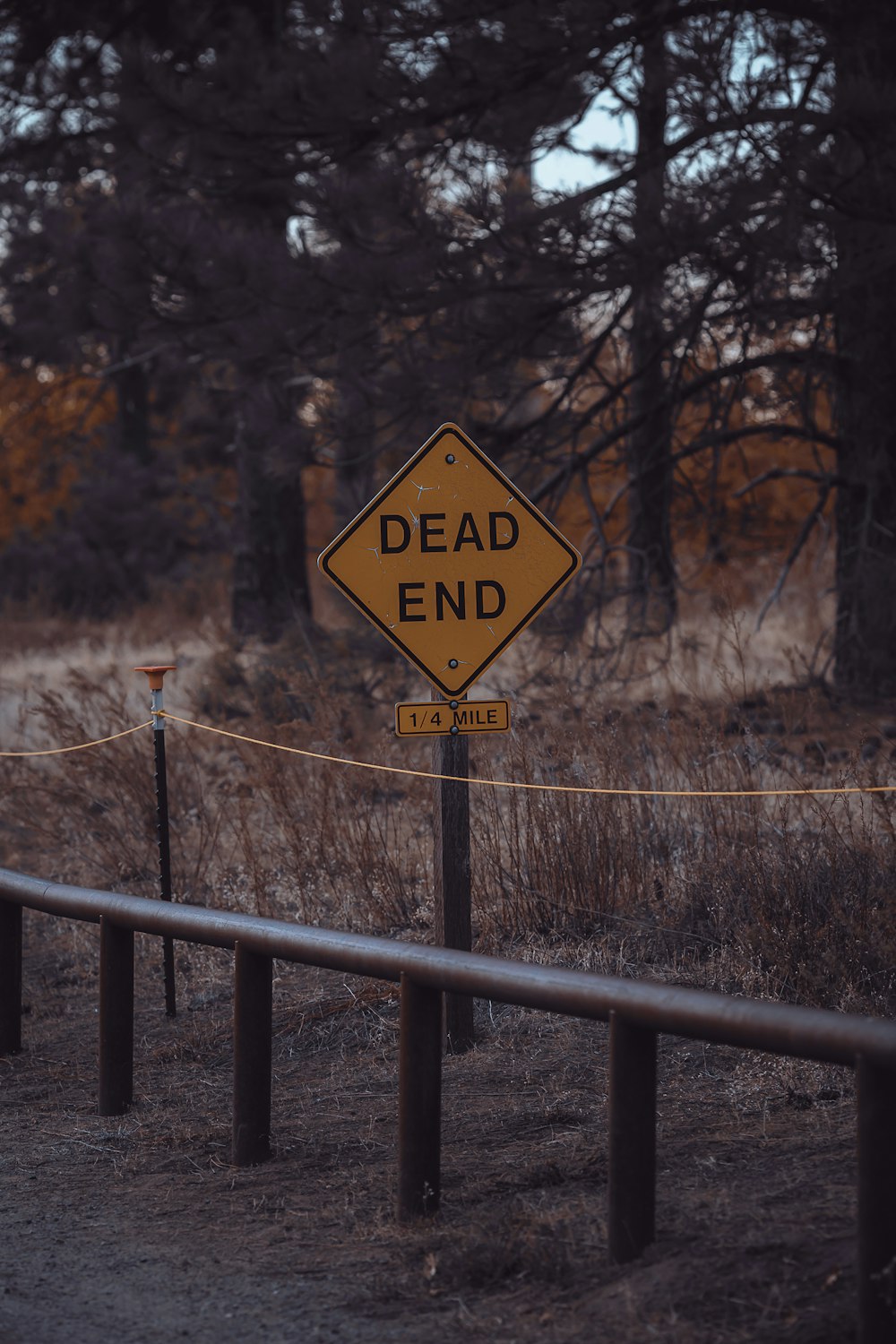 yellow and black road sign