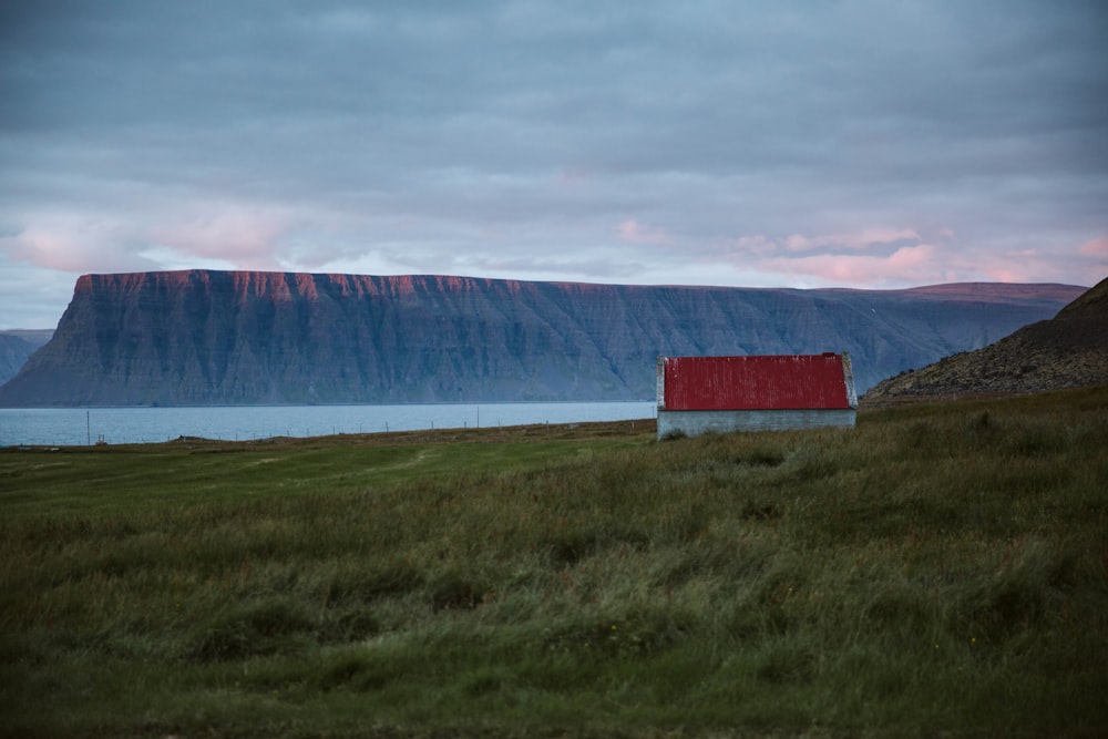 red and white house on green grass field near body of water during daytime