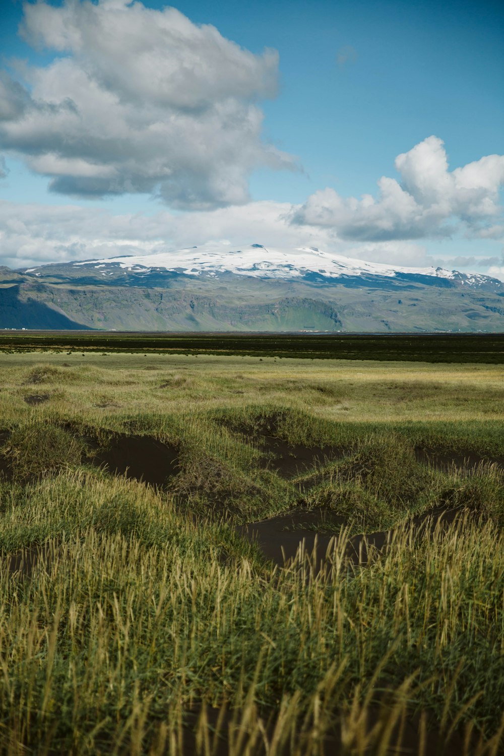 green grass field near snow covered mountain during daytime