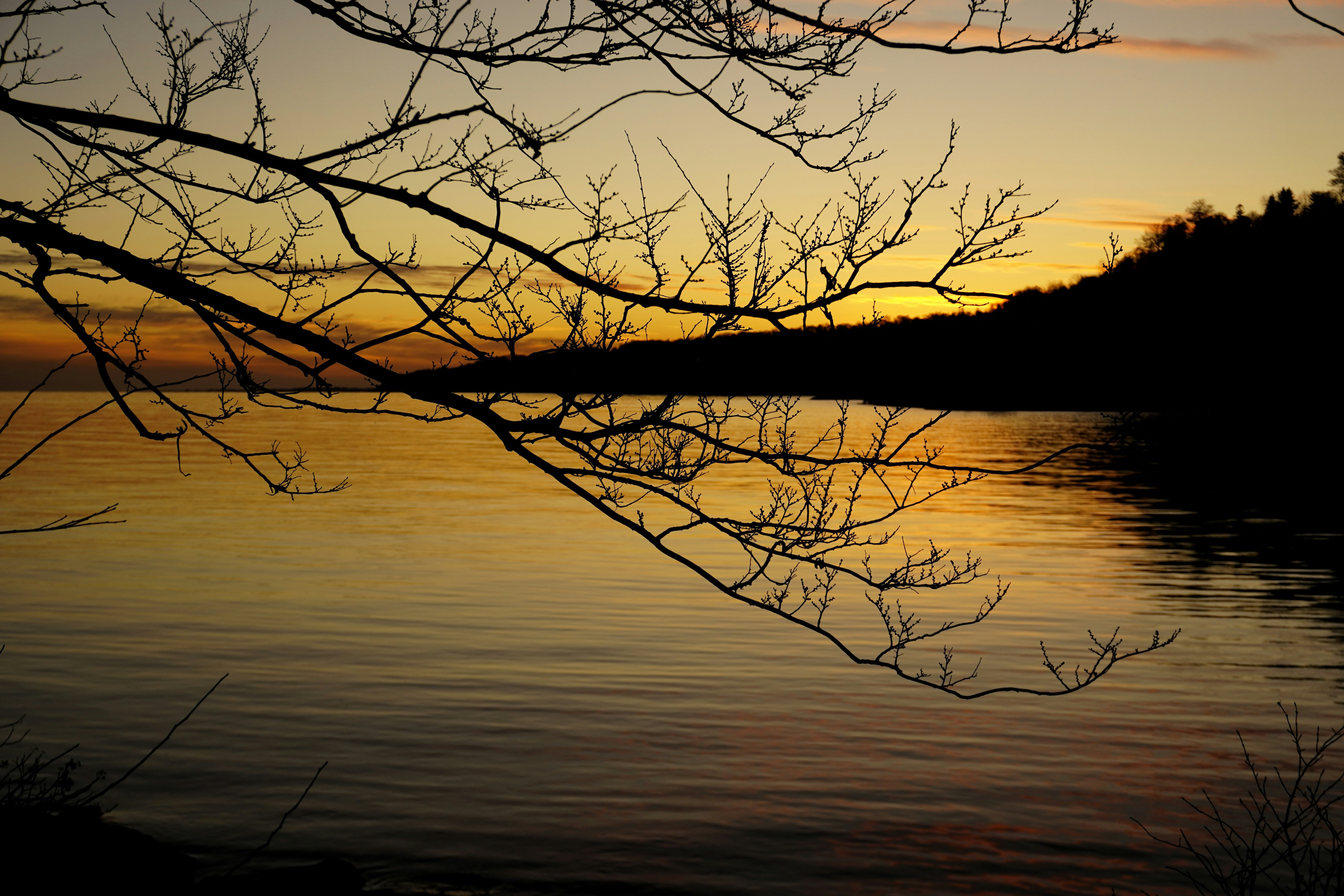 Photo by meri_vasilevski