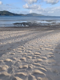 A serene beach scene showing clean habitat with turtle tracks leading to the sea