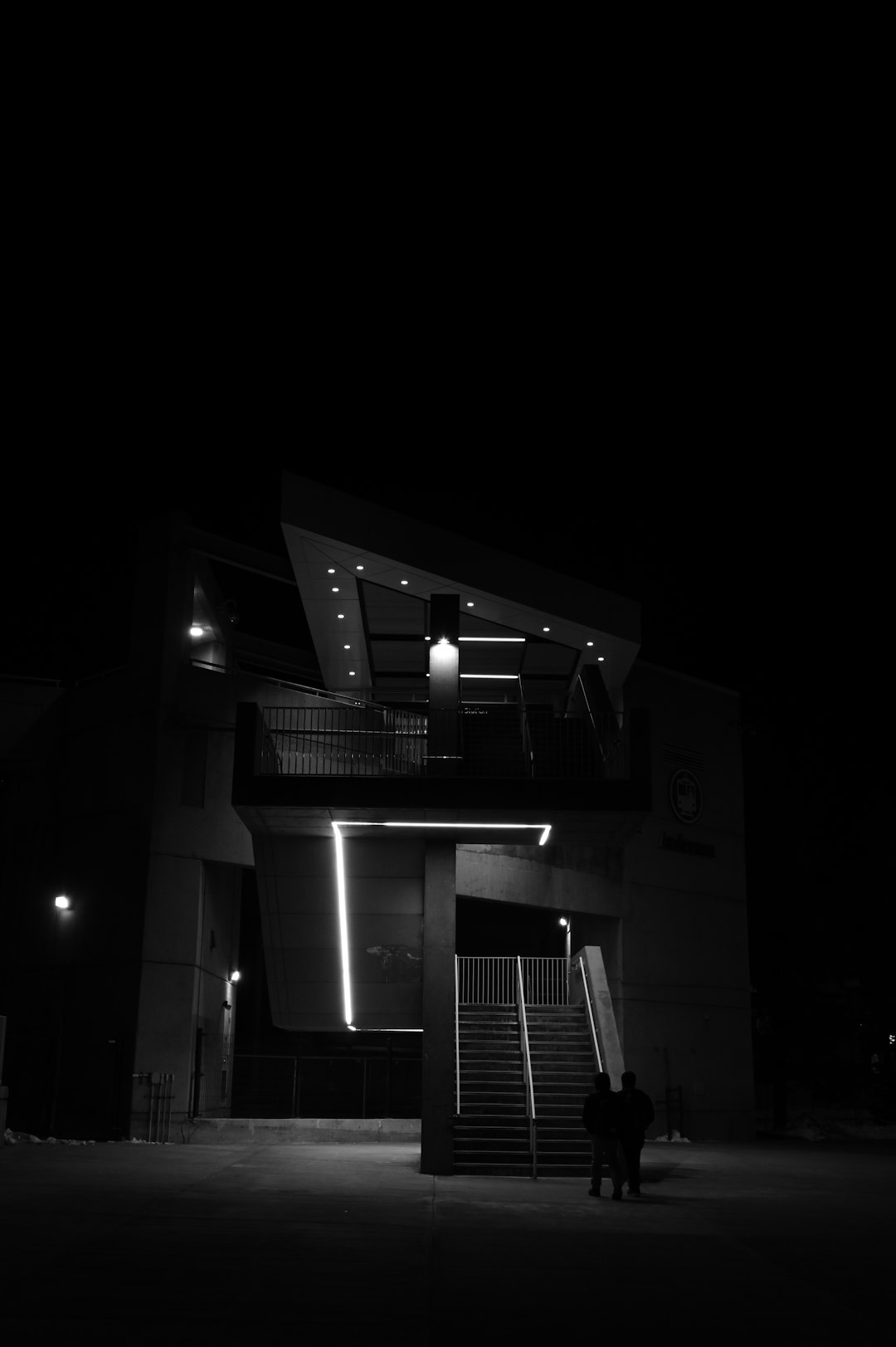 grayscale photo of building during night time