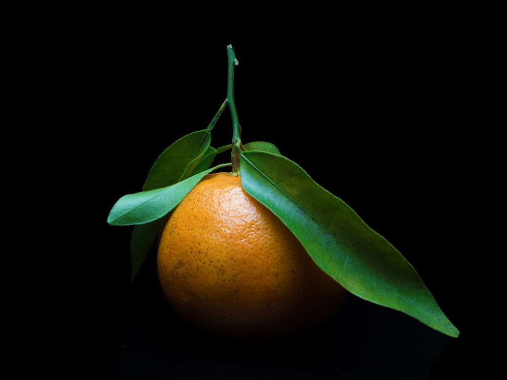 orange fruit with green leaves