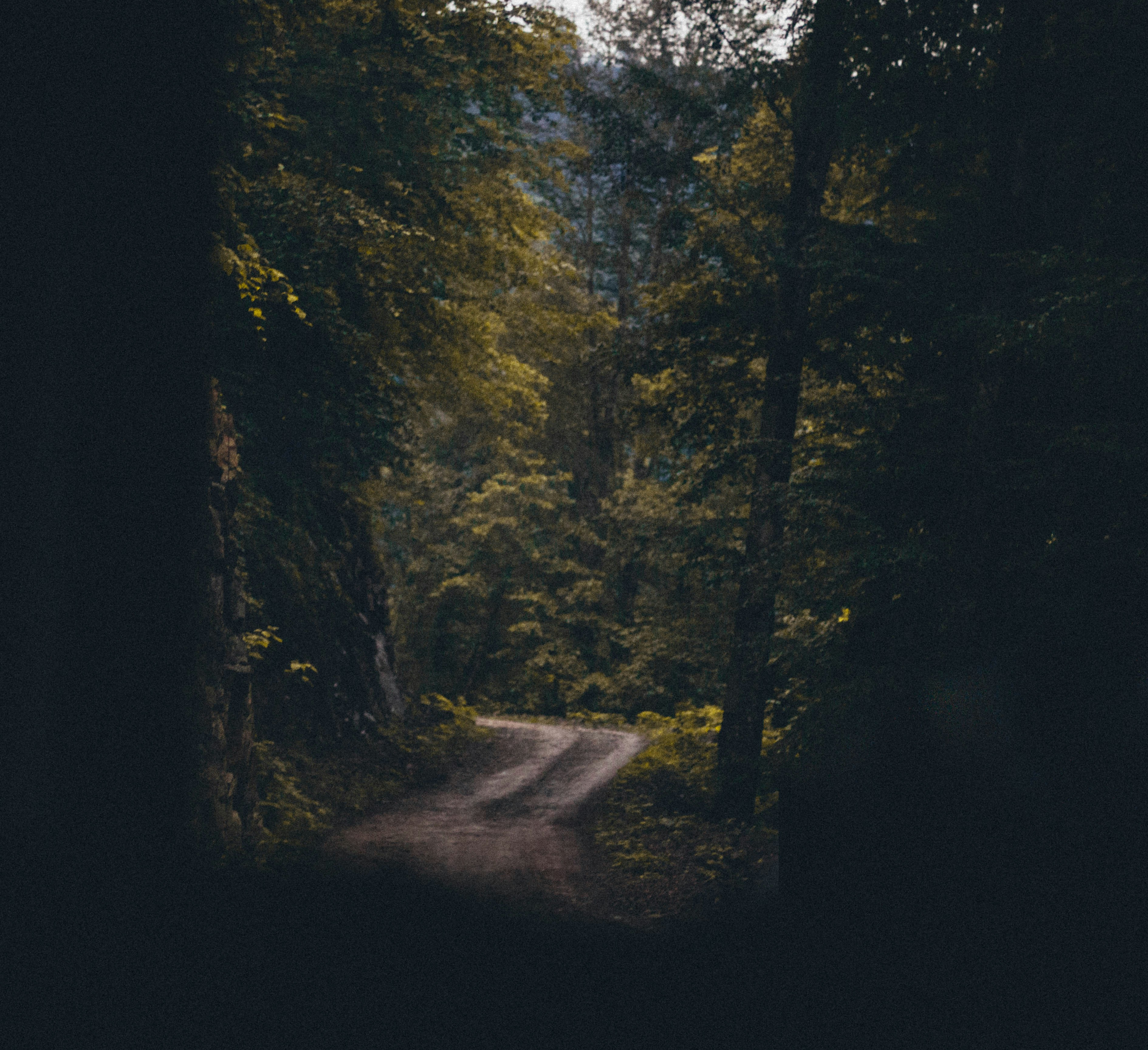 Photo by vedatkandemir