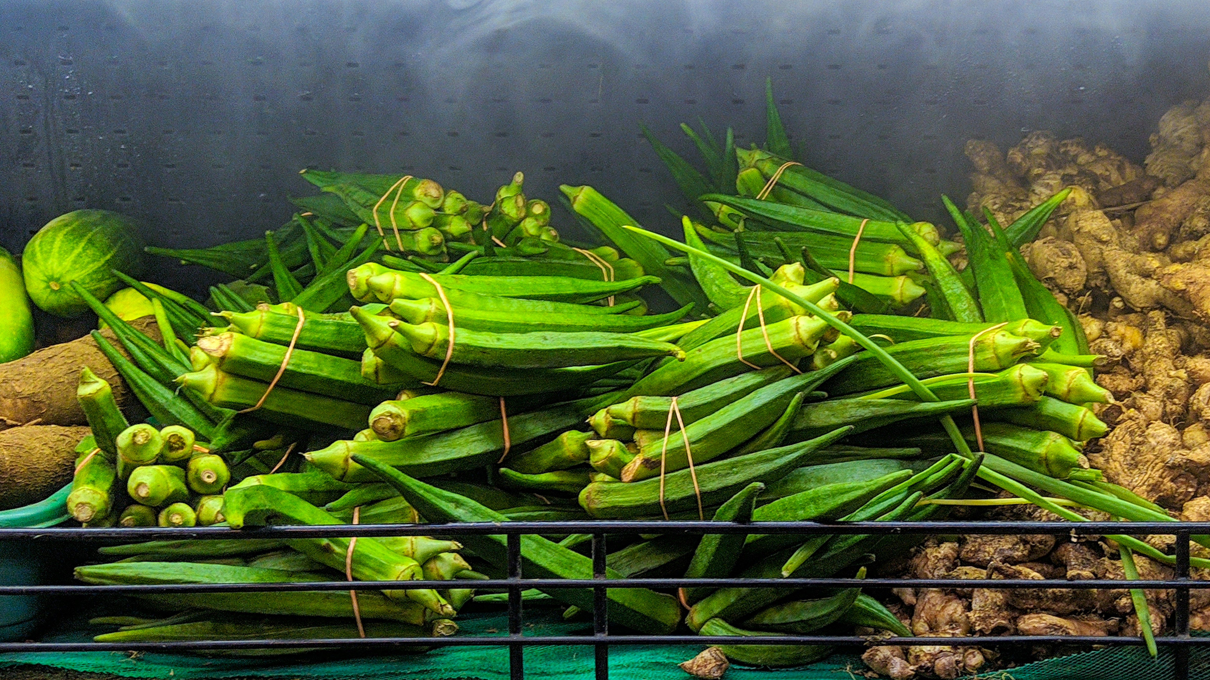 Fresh green leafy morogo vegetable bundles on wooden market table in bright daylight