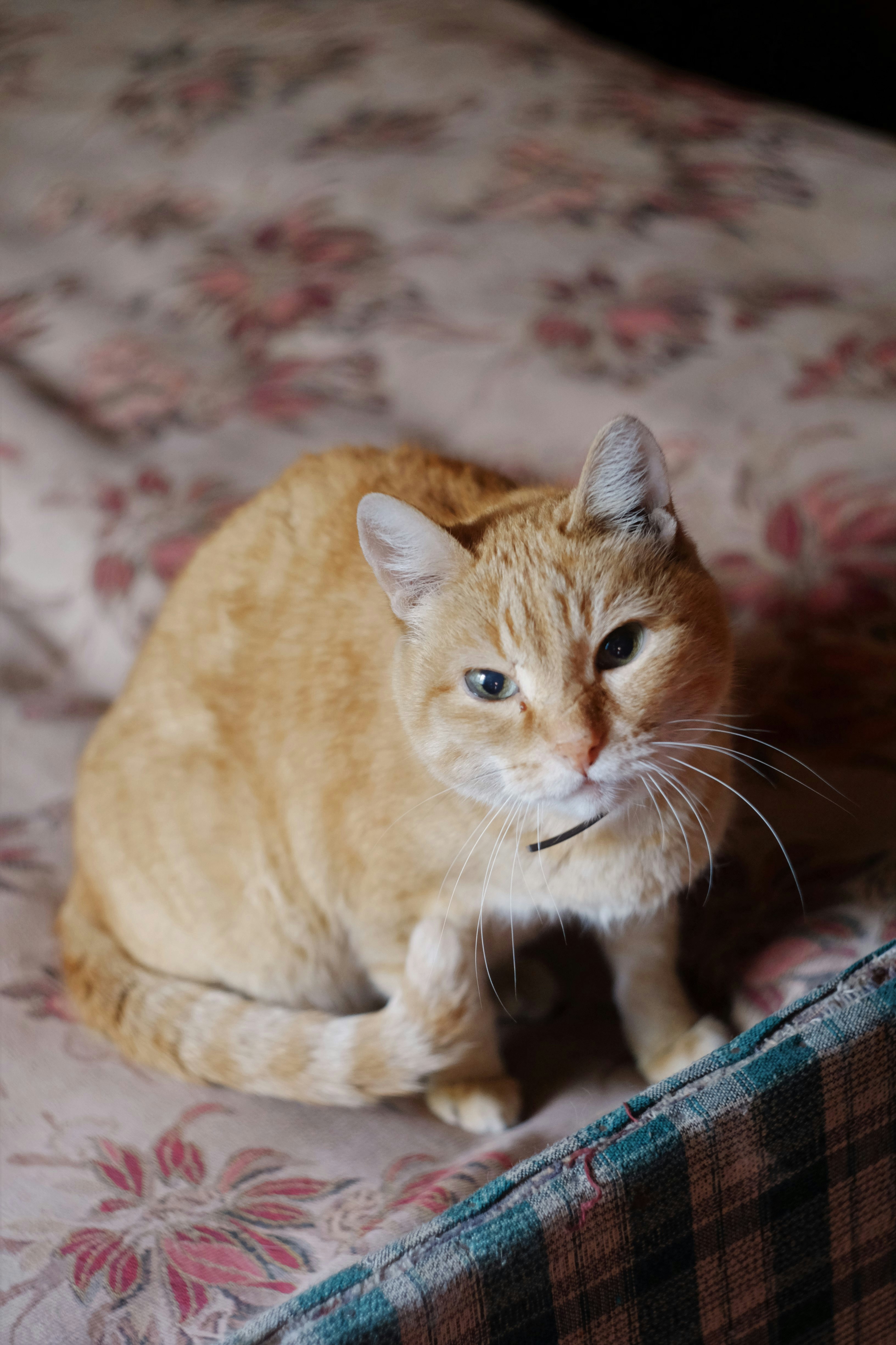 The Role of Age and Maturity (image credits: unsplash)