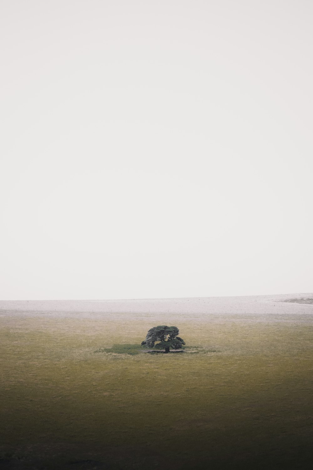 person in black jacket sitting on green grass field during daytime